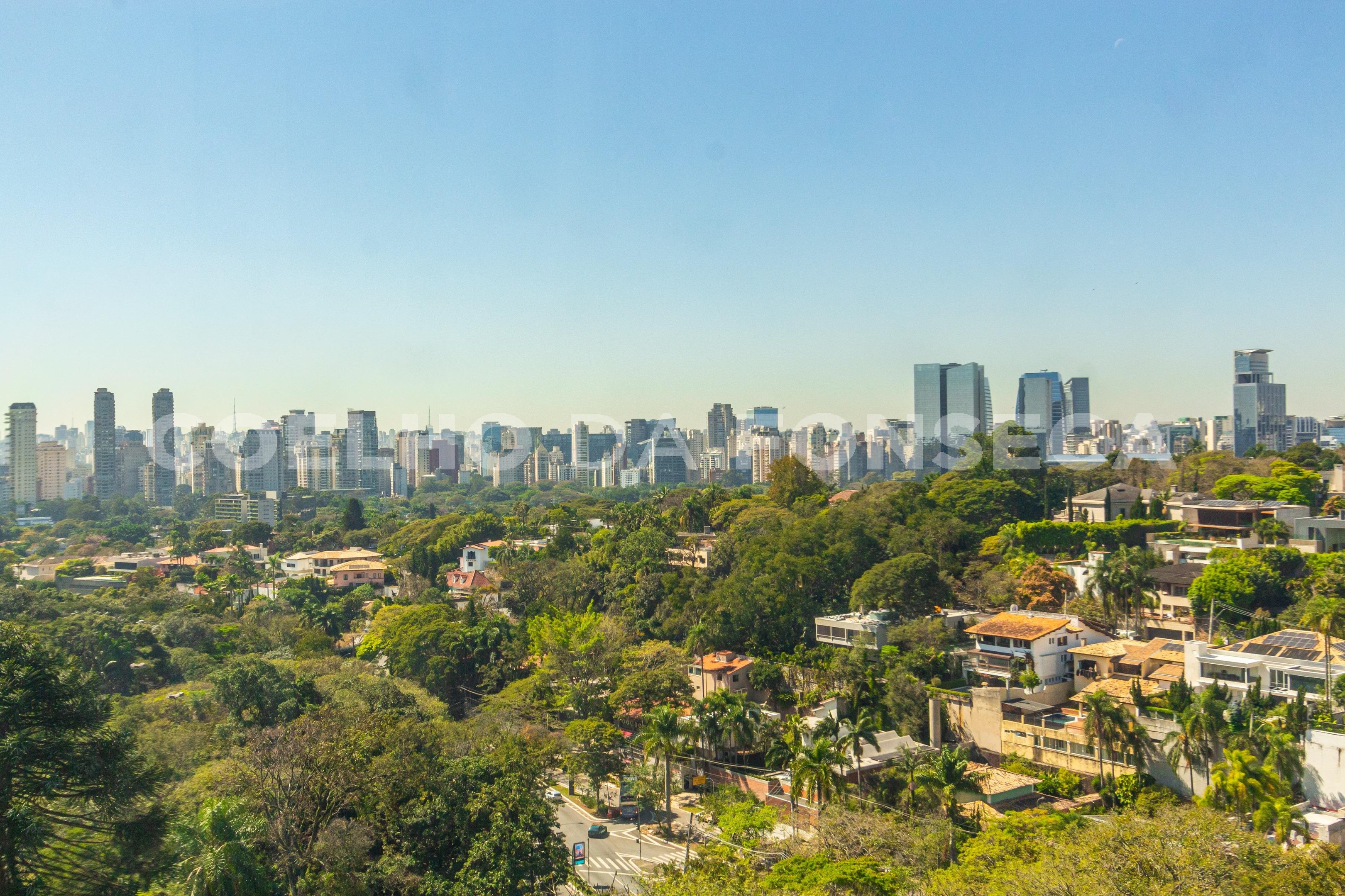 Vista