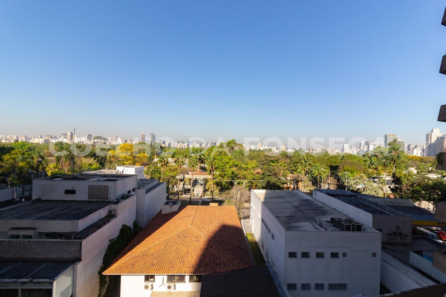 Vista