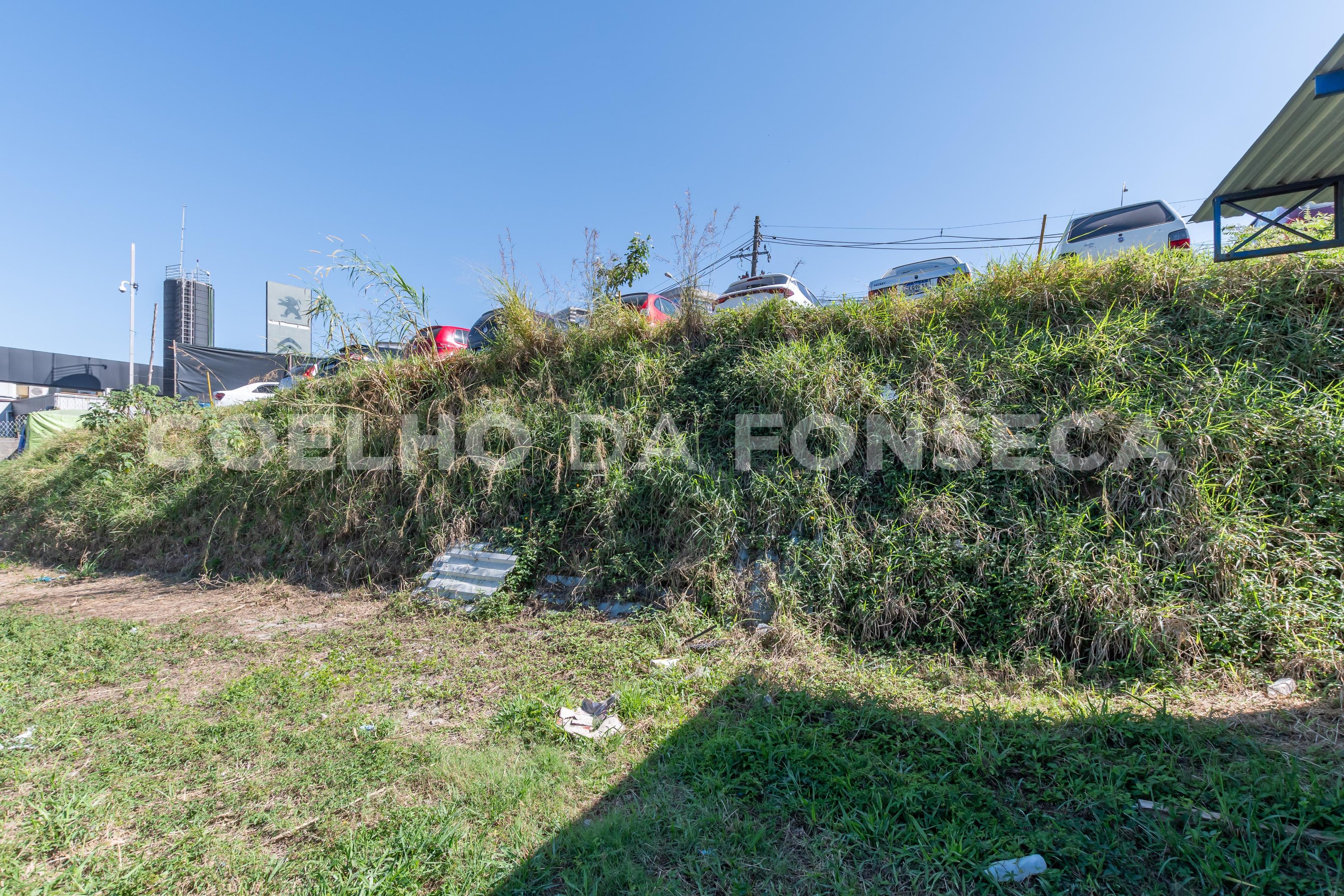 Terreno