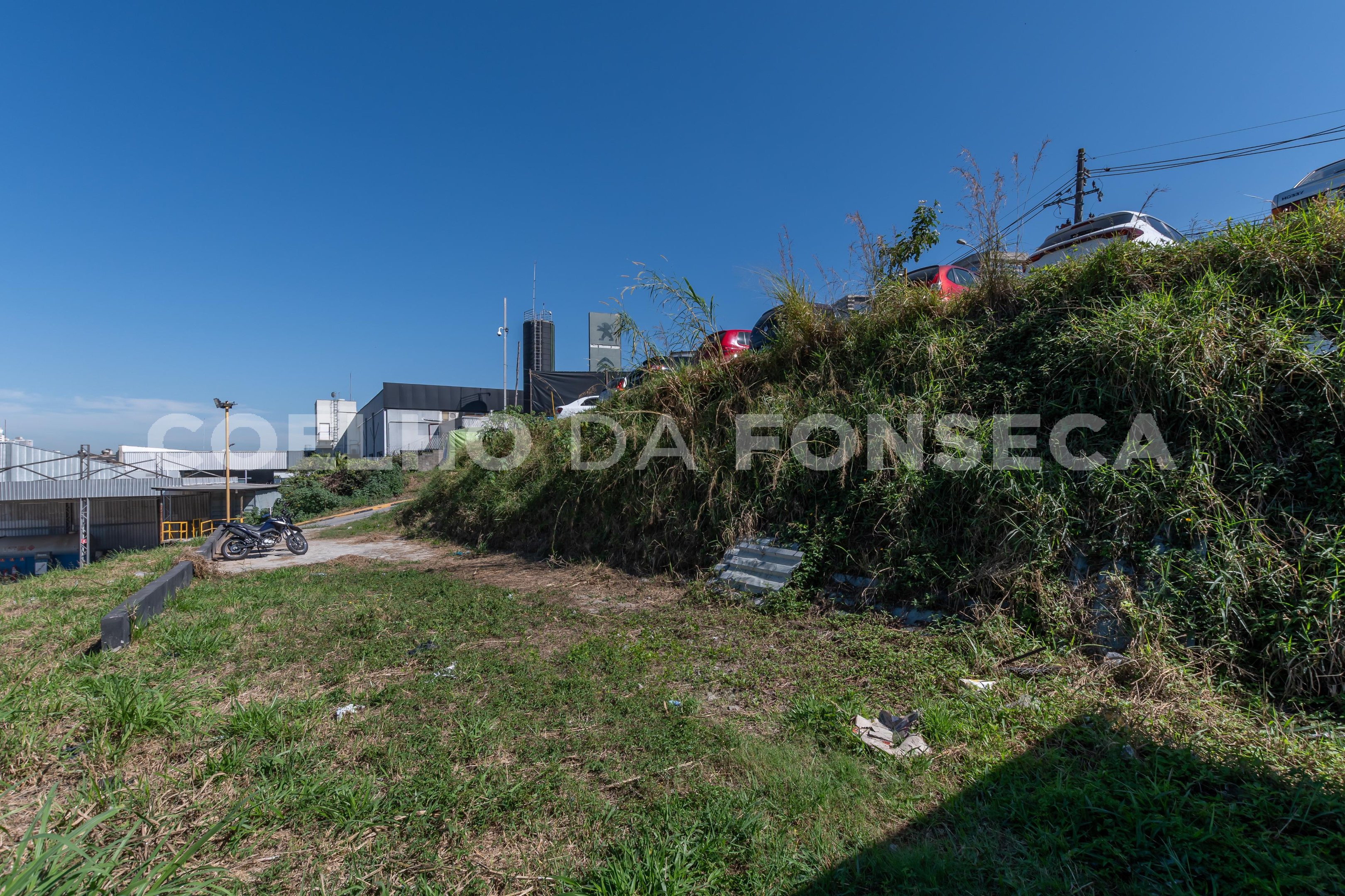 Terreno