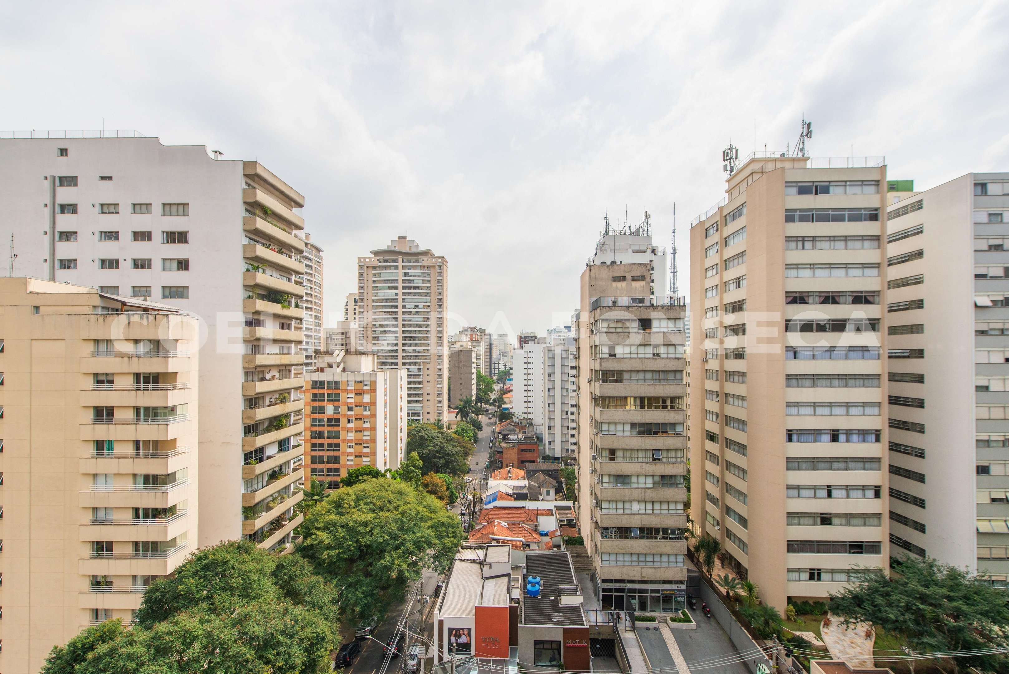 Vista