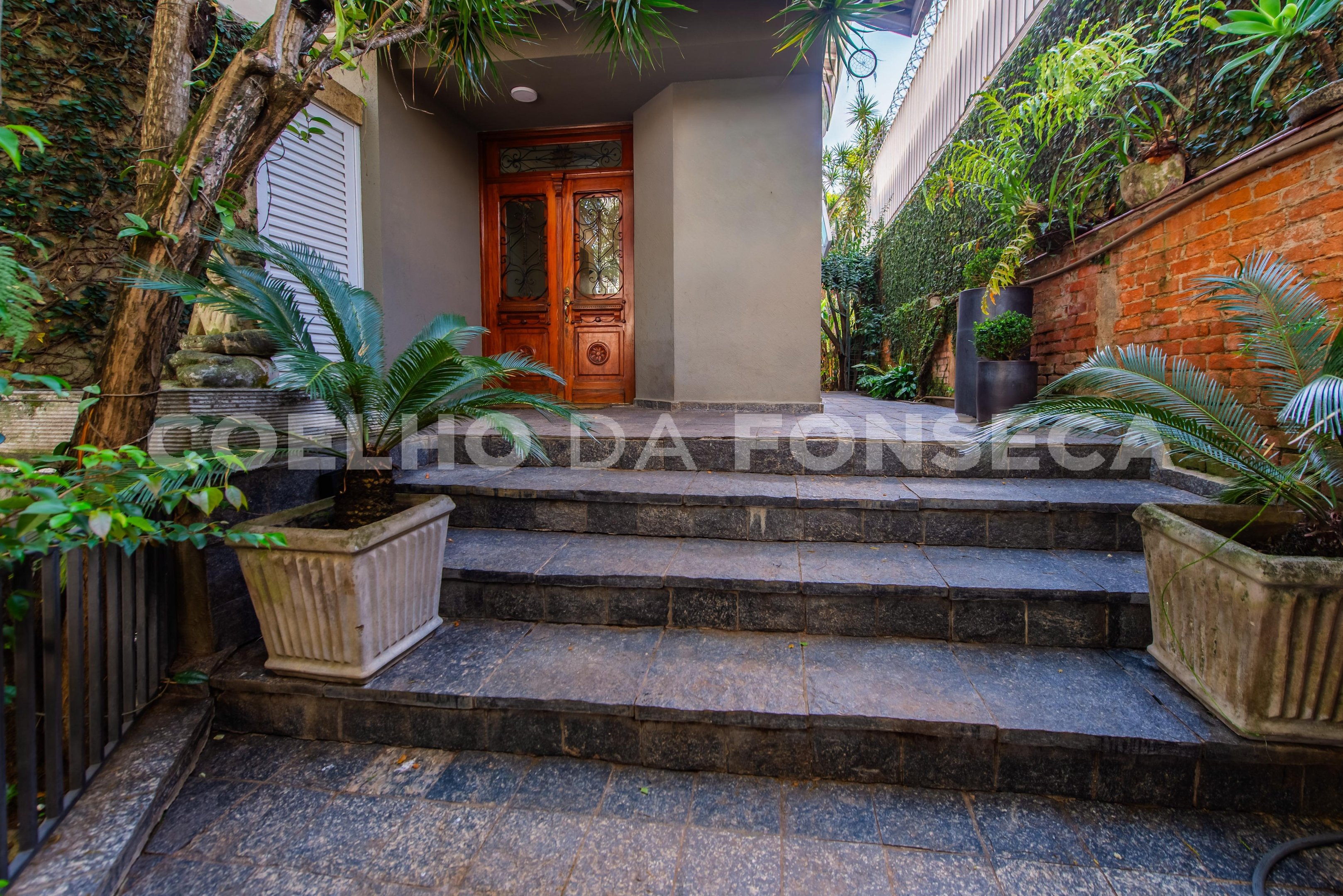 Entrada