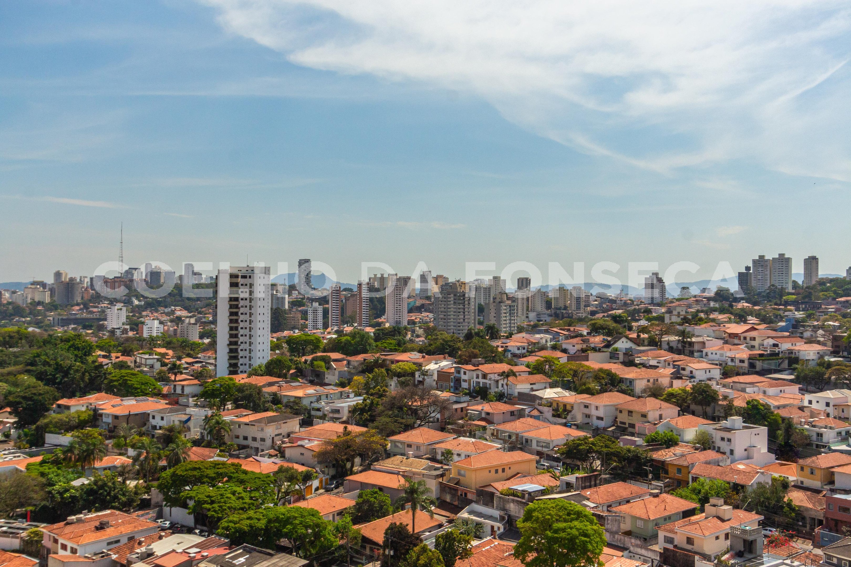 Vista