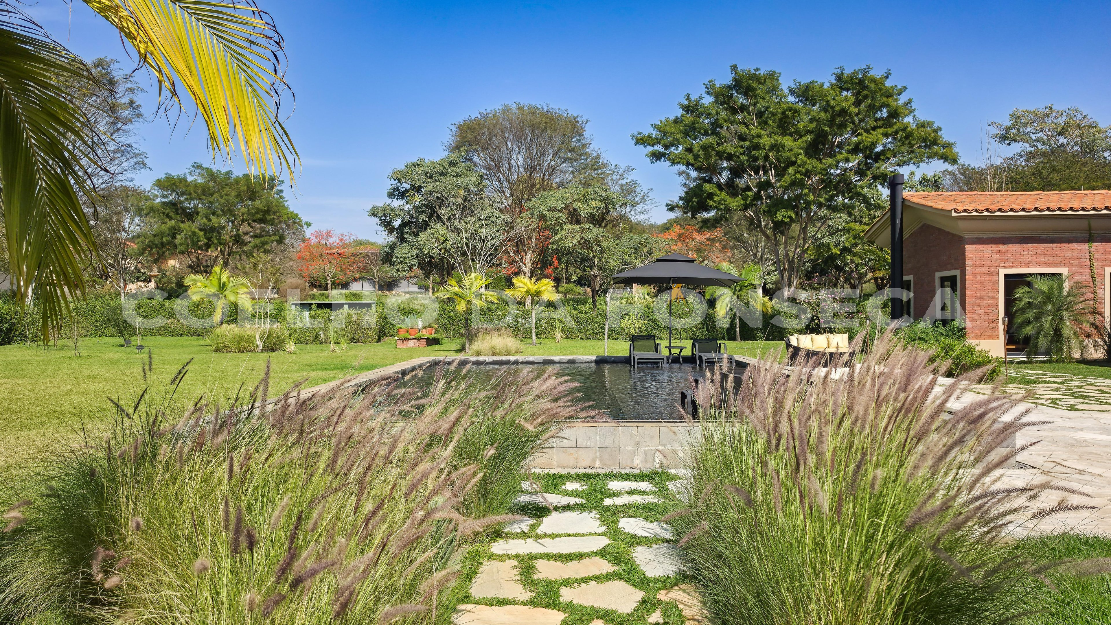 Jardim