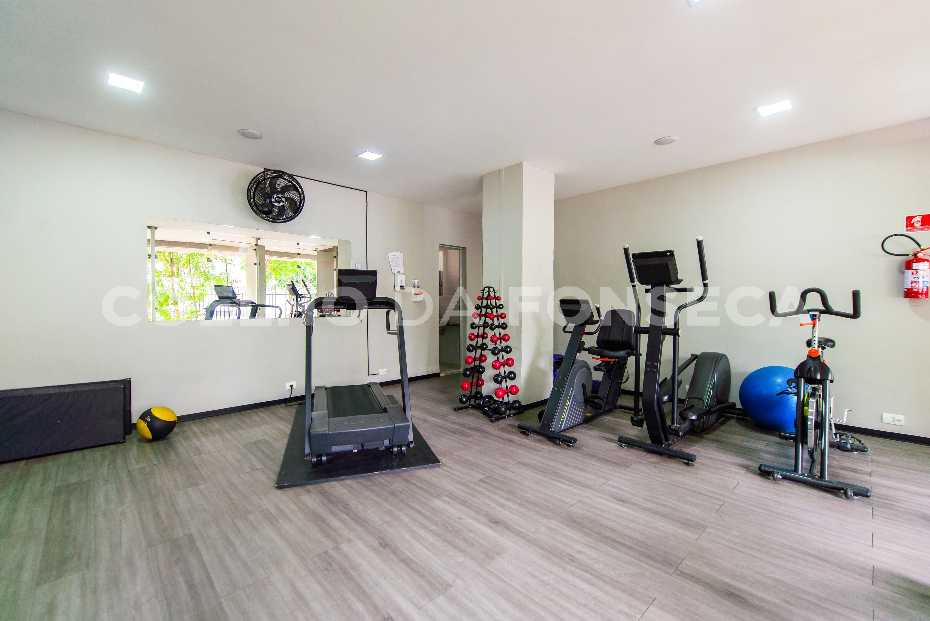 Fitness
