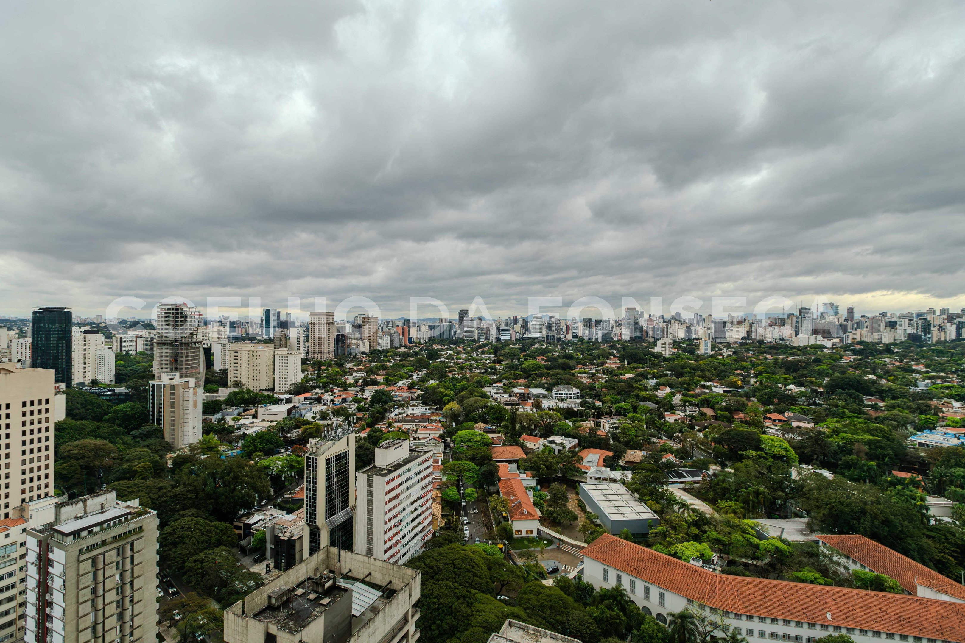 Vista