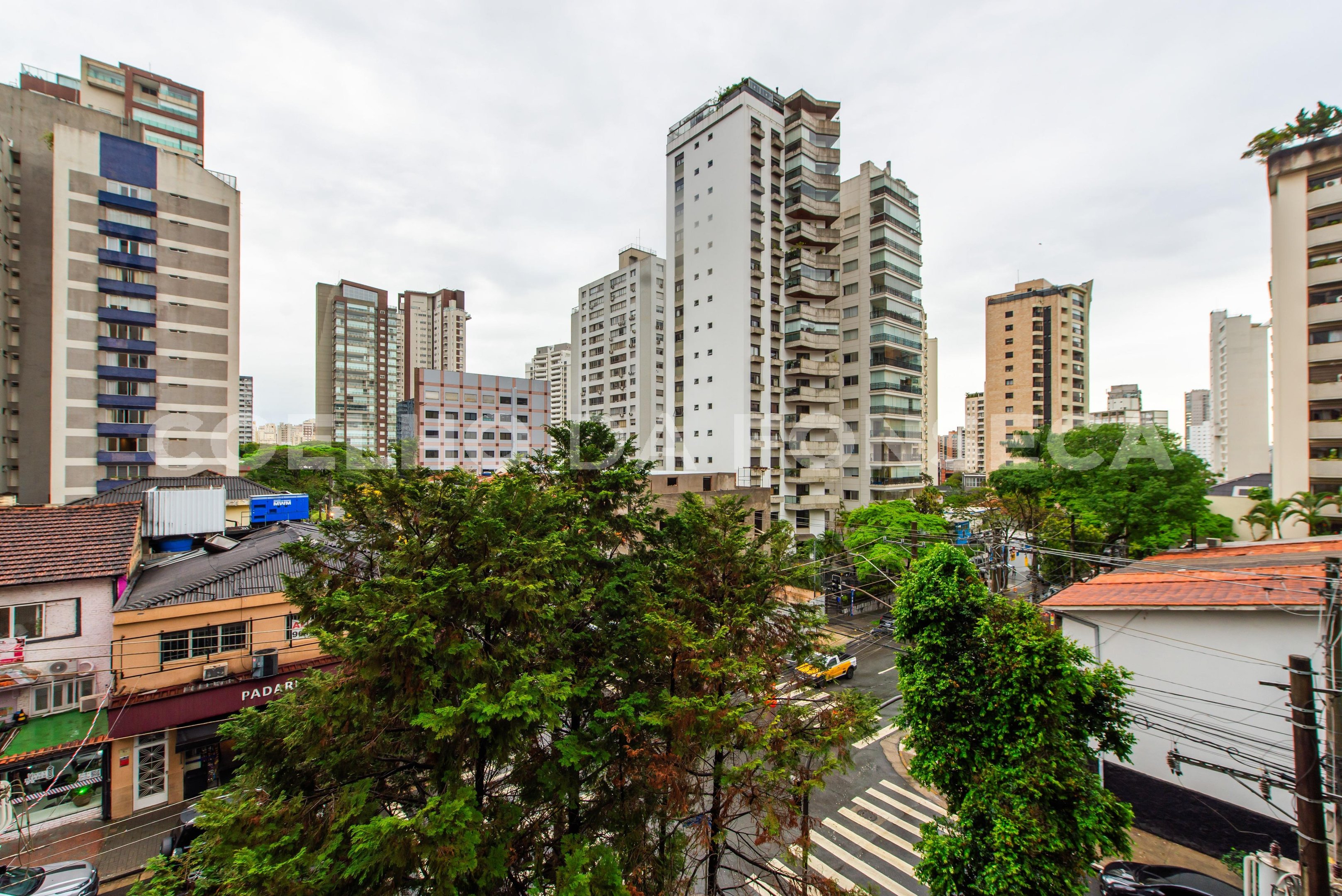 Vista