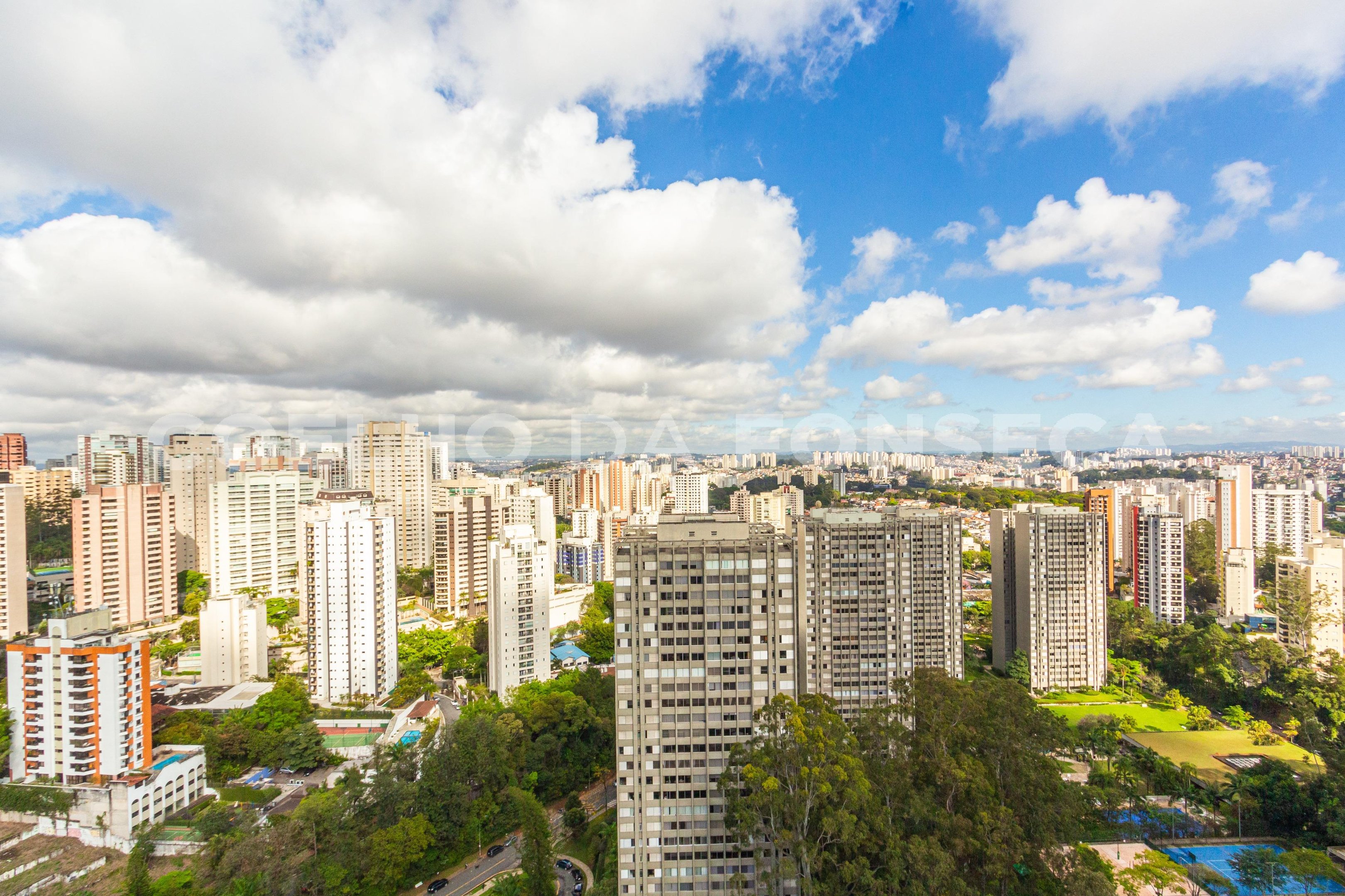 Vista