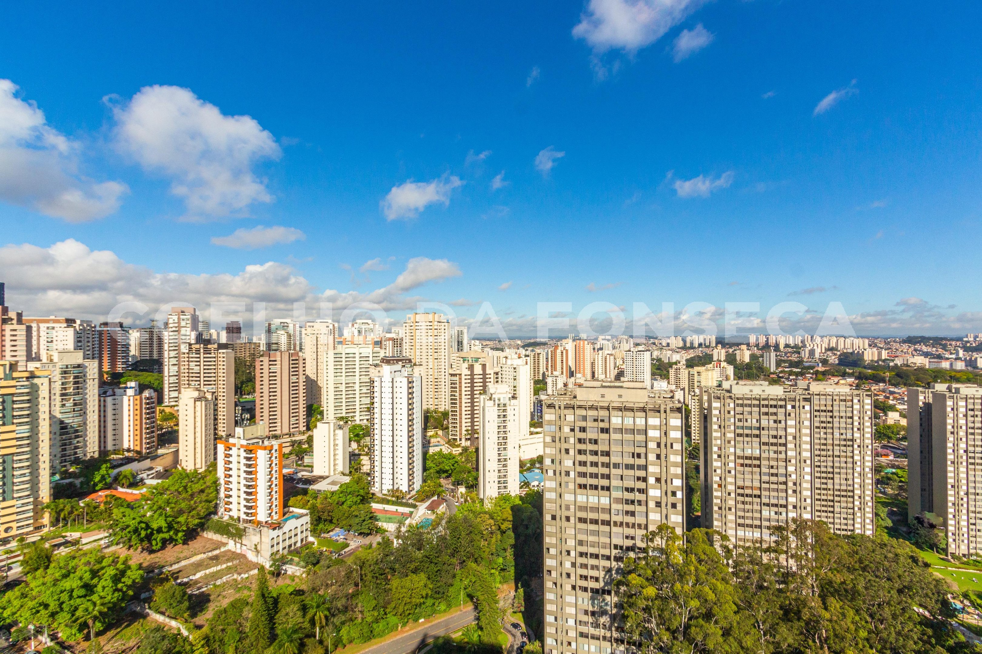 Vista