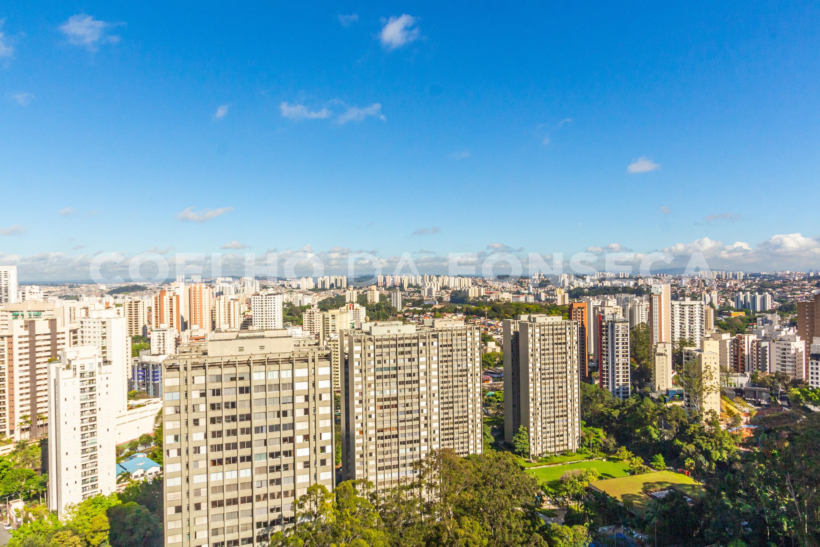 Vista