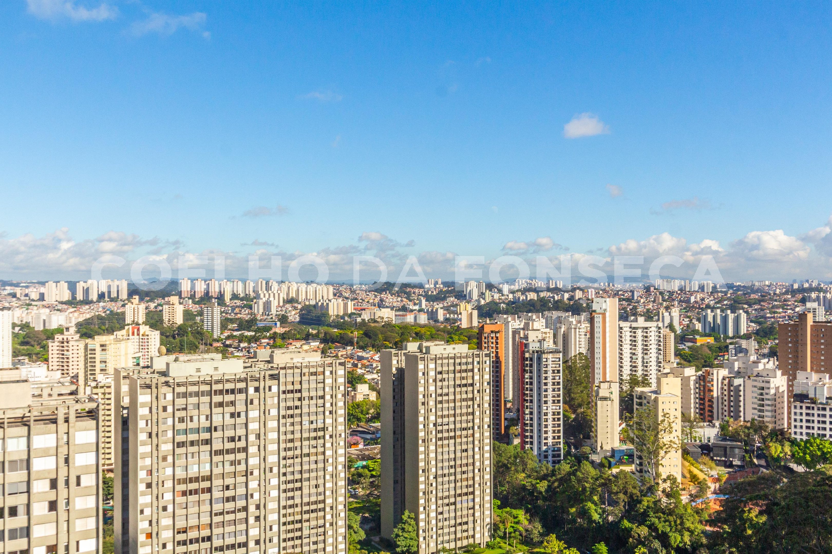 Vista