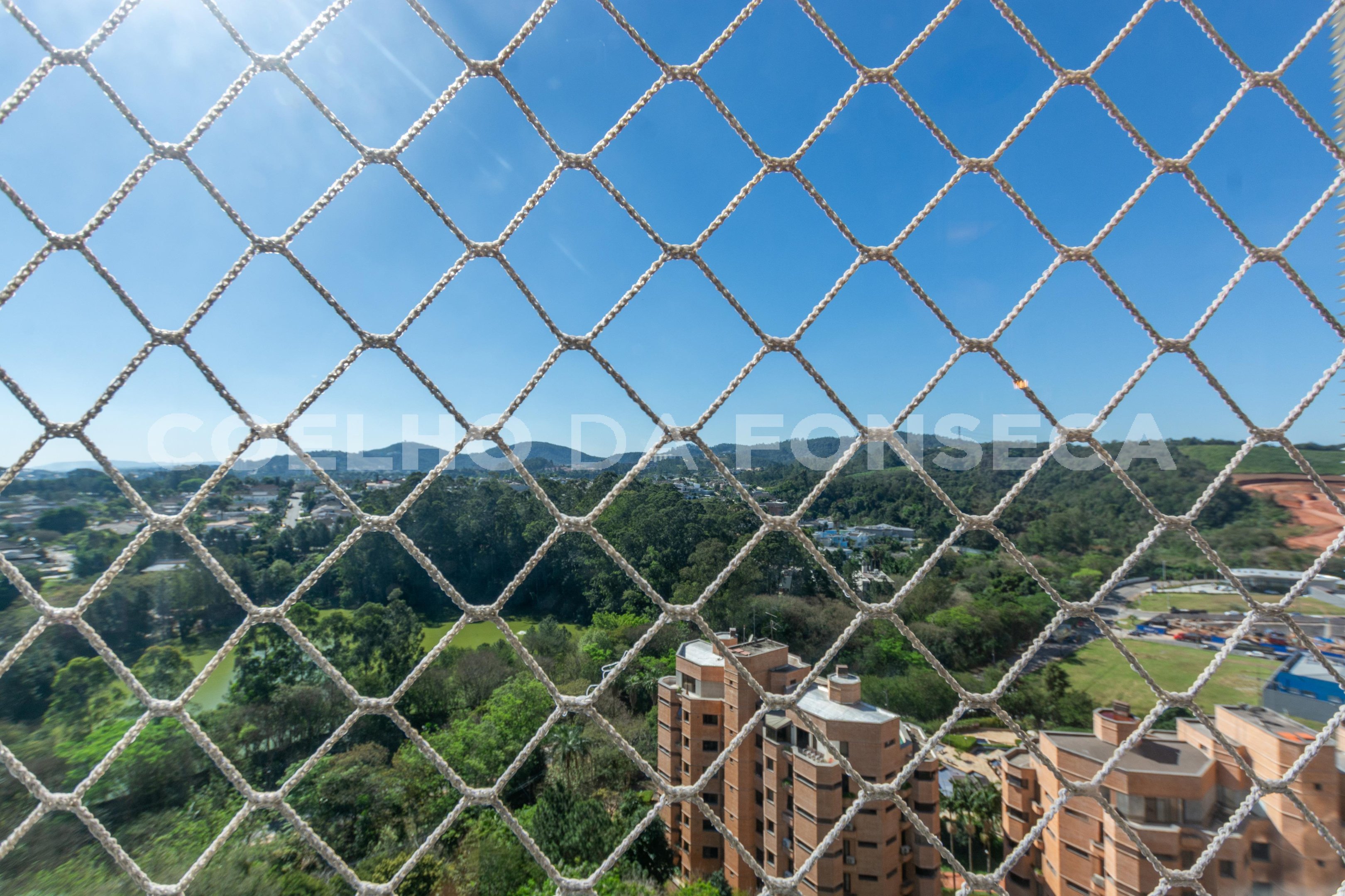 Vista
