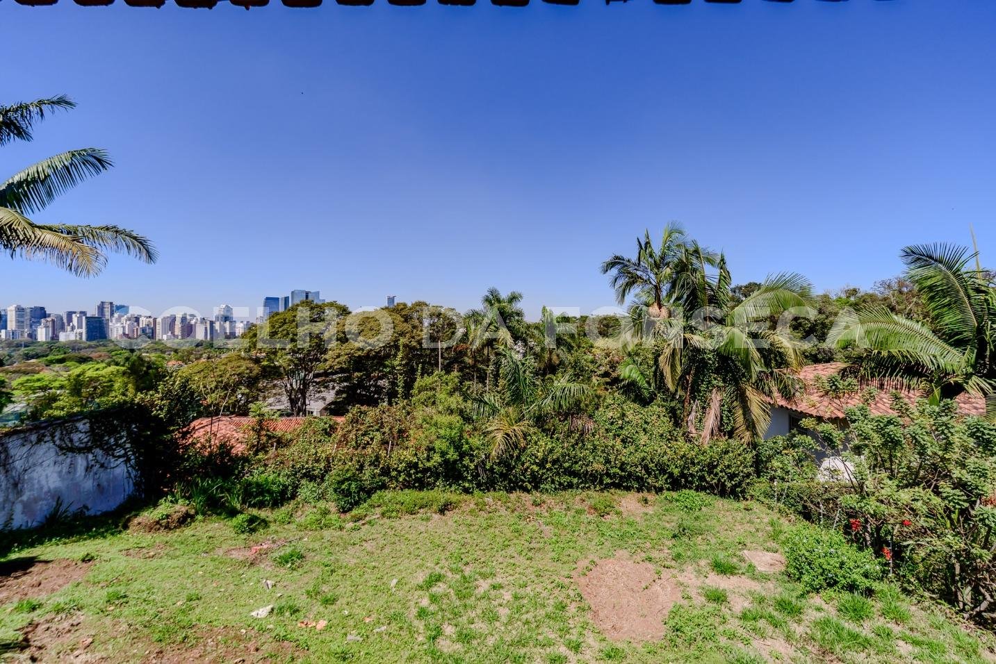 Vista
