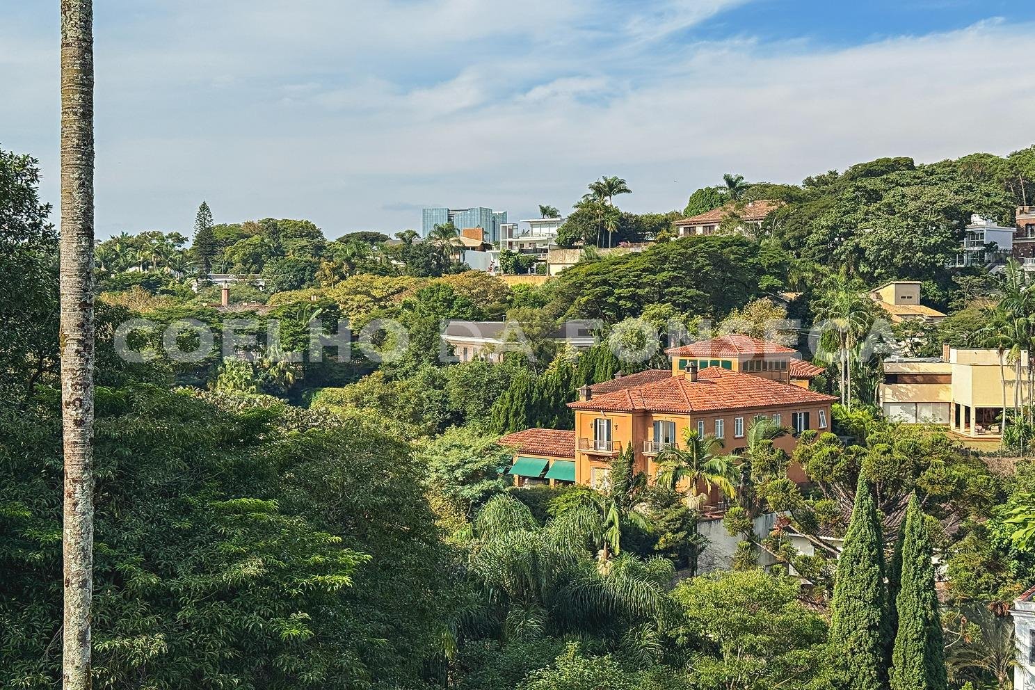 Vista