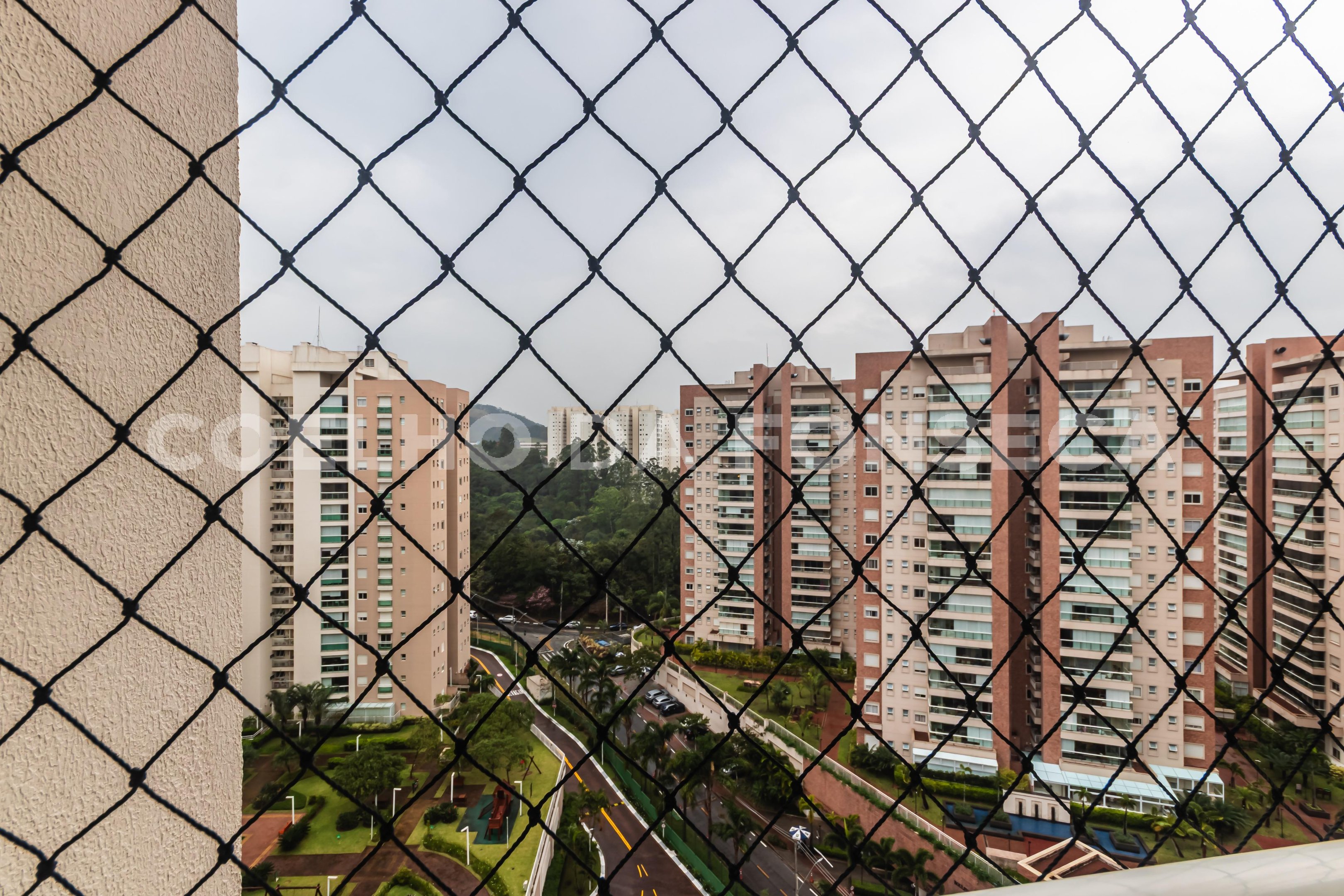Vista