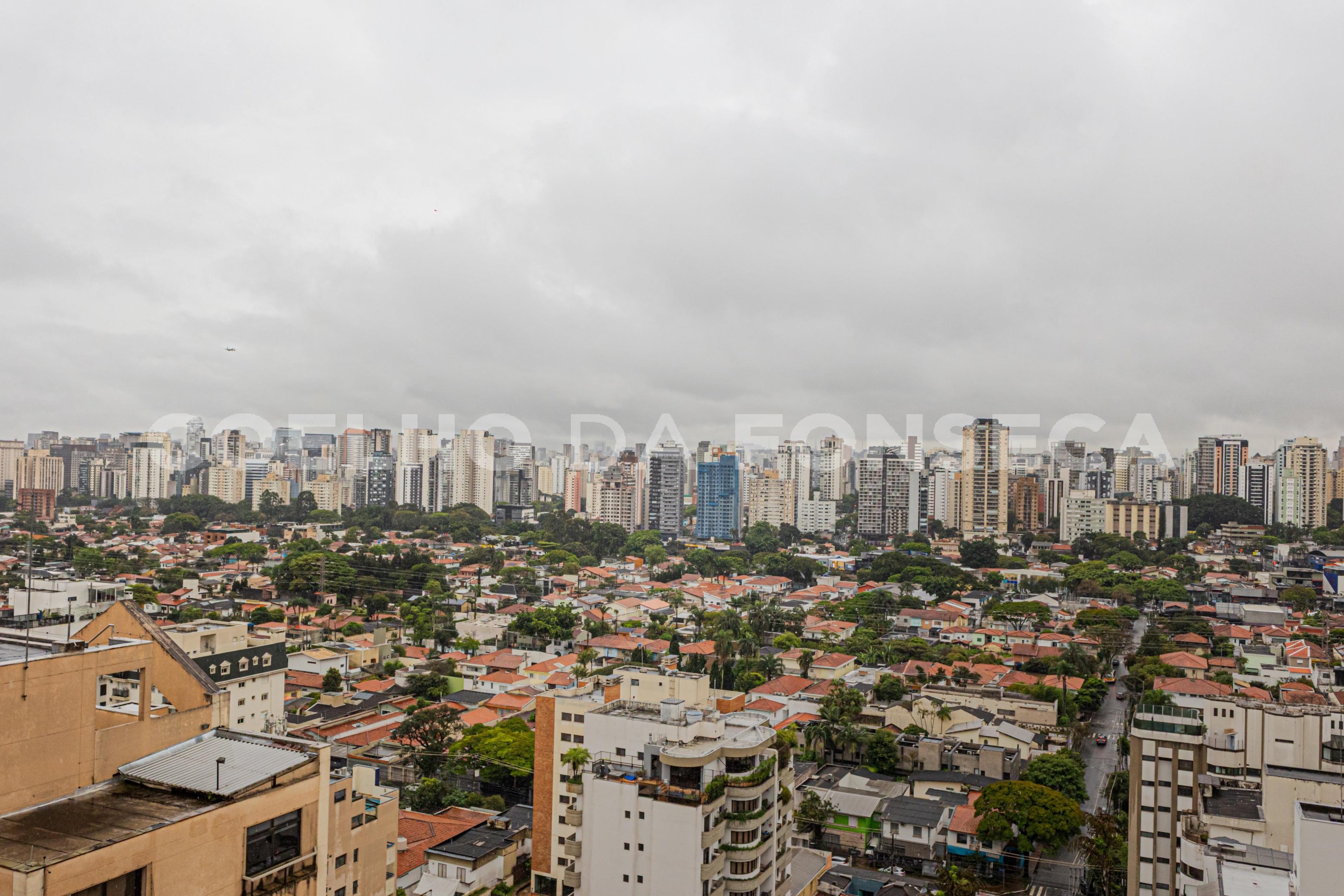 Vista