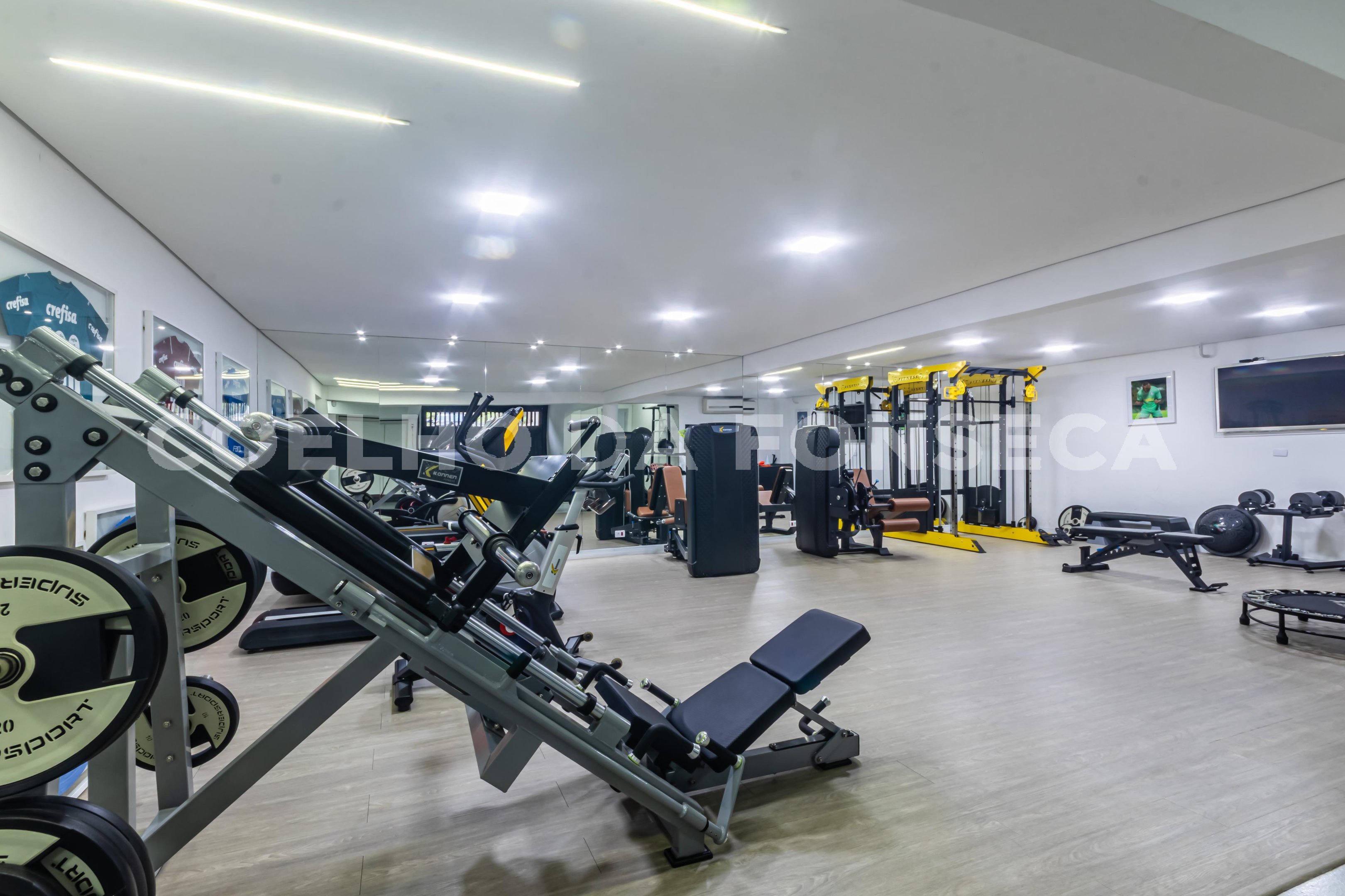 Fitness