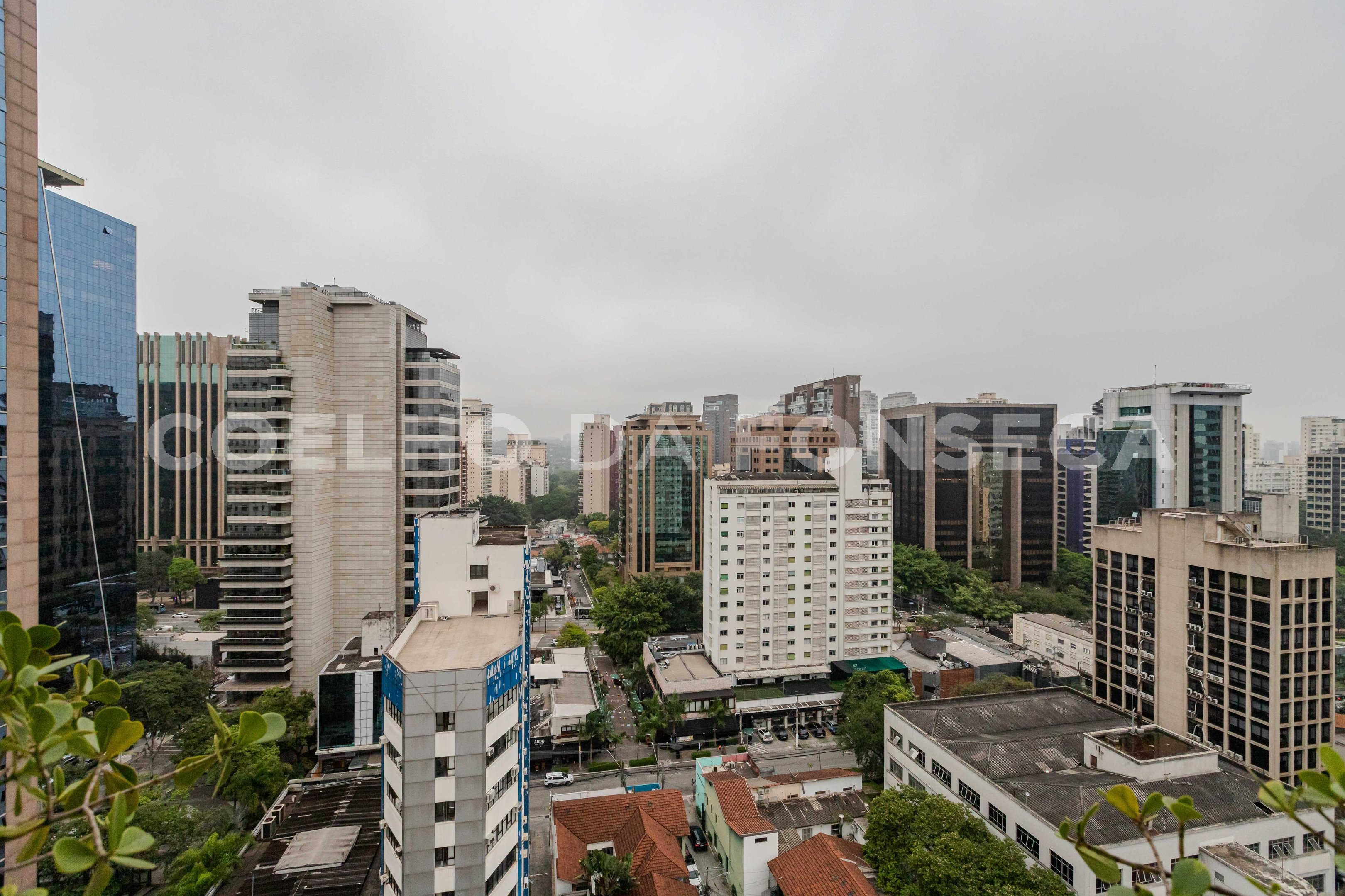 Vista