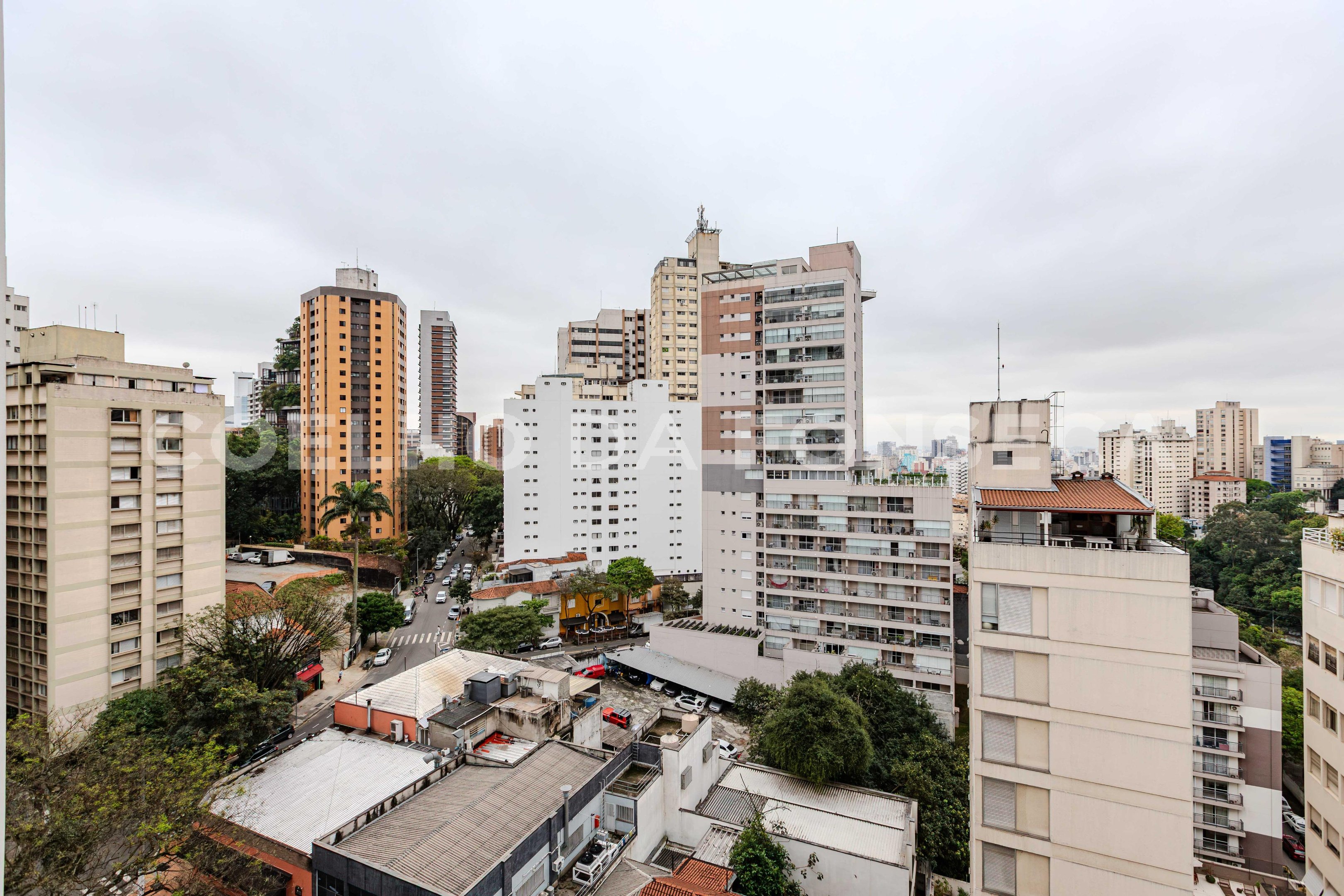 Vista