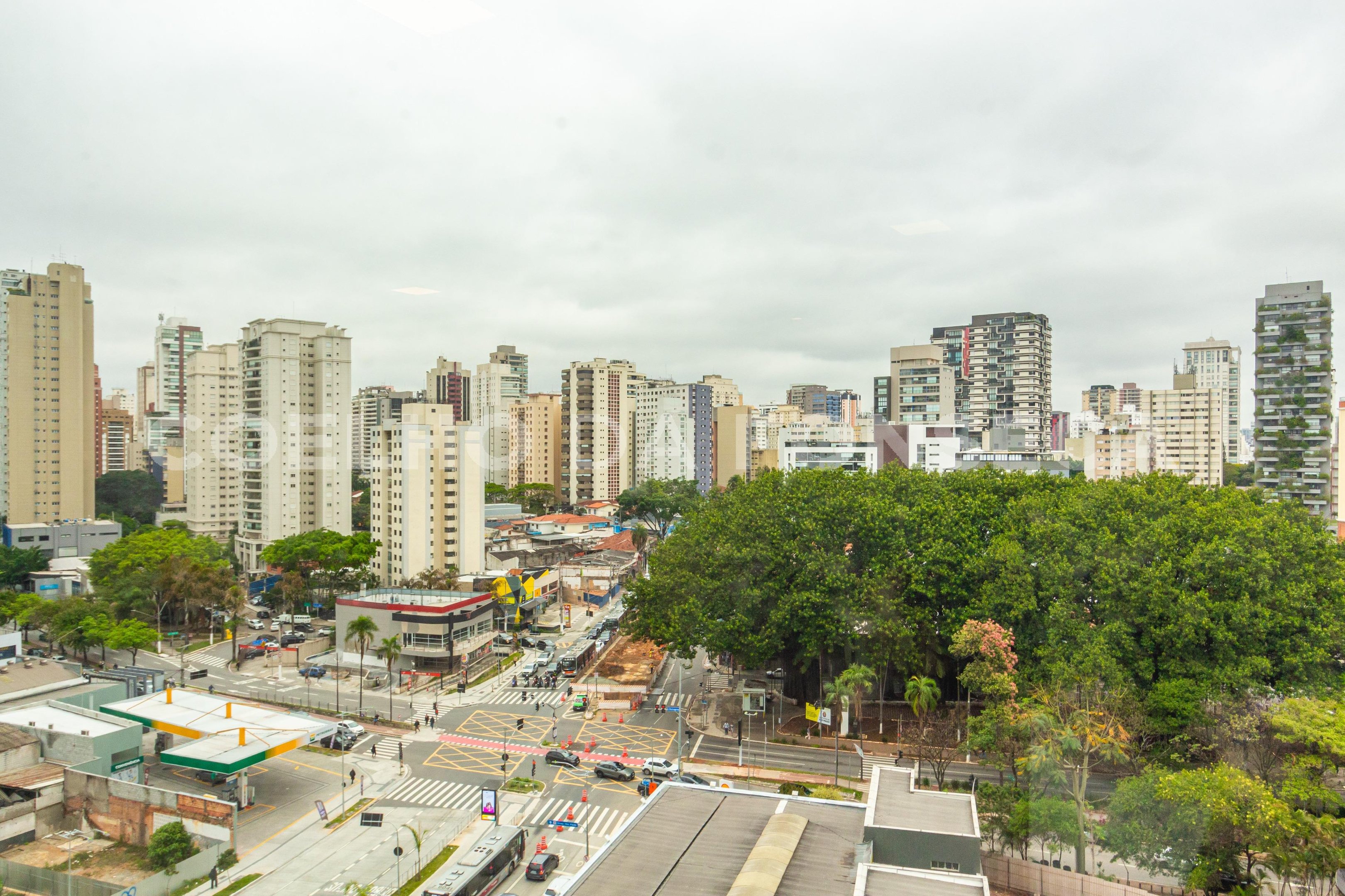 Vista