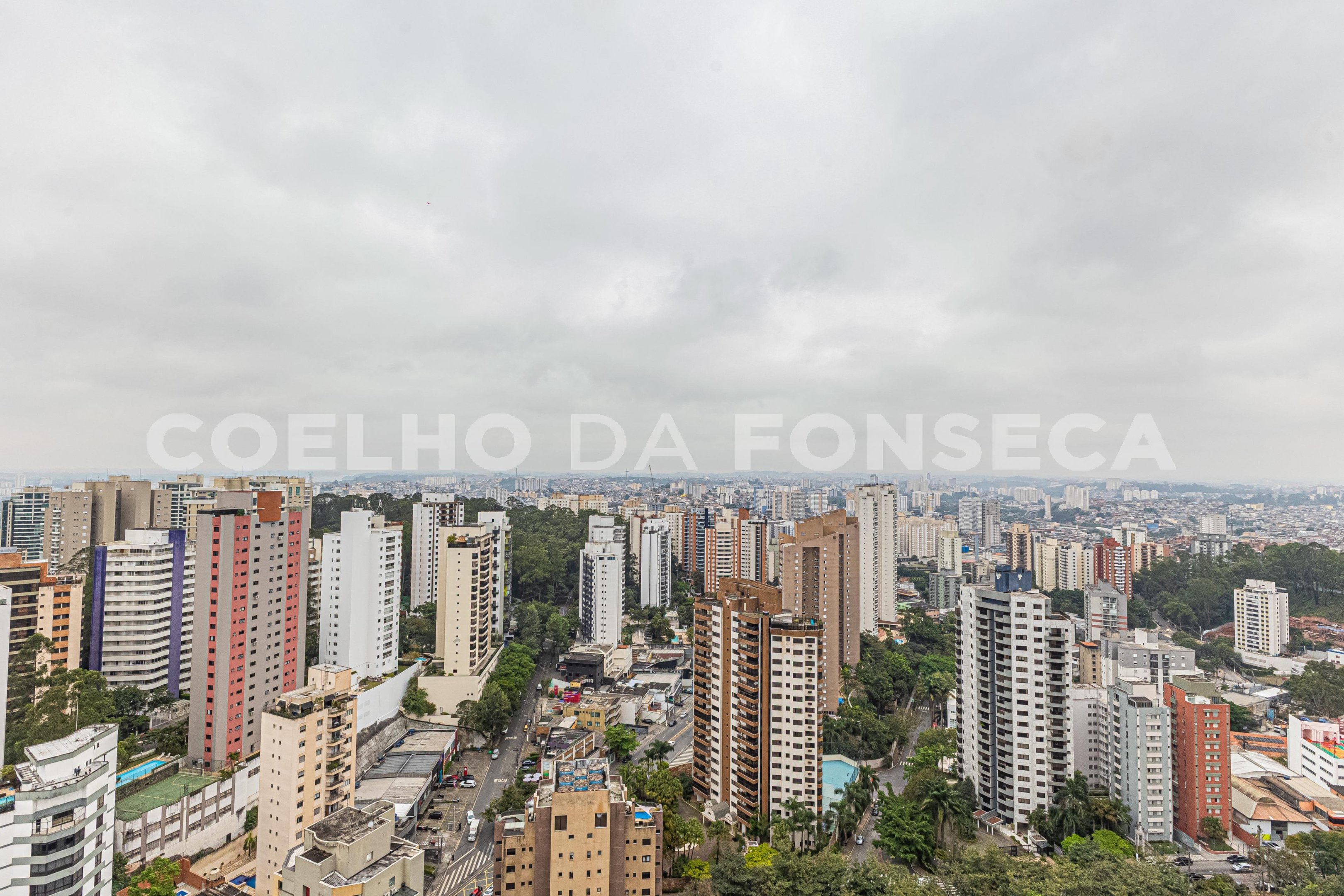 Vista
