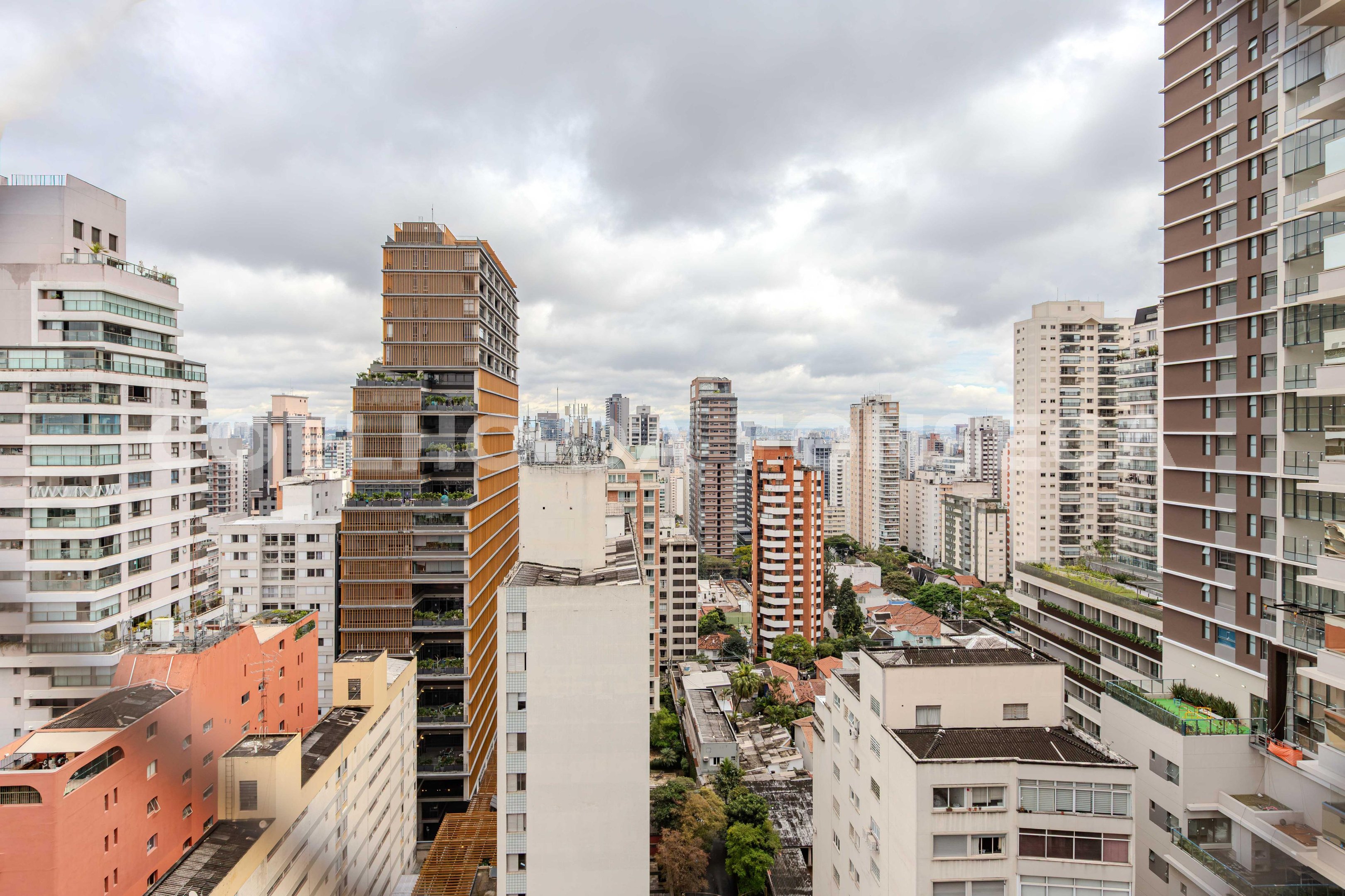 Vista