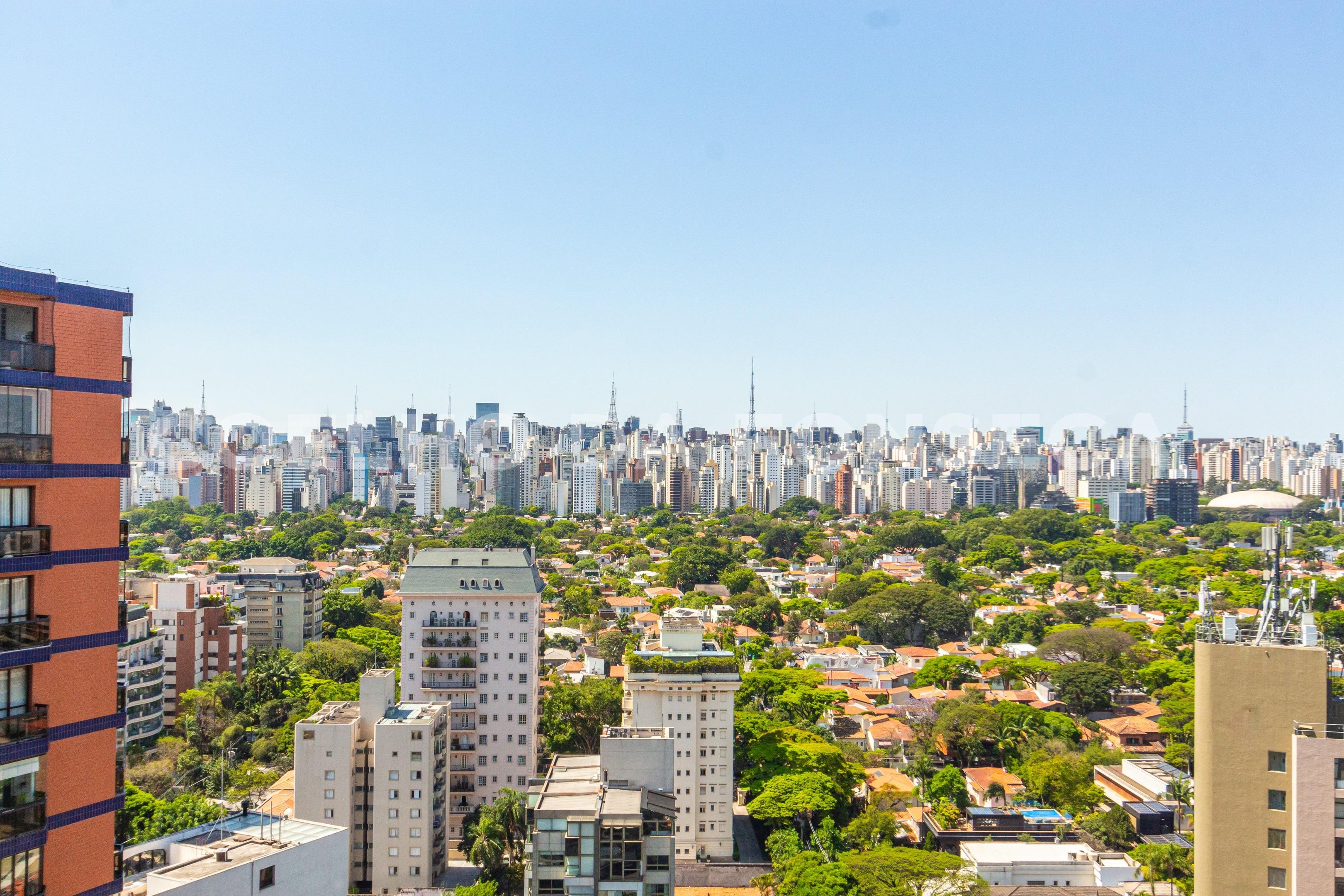 Vista