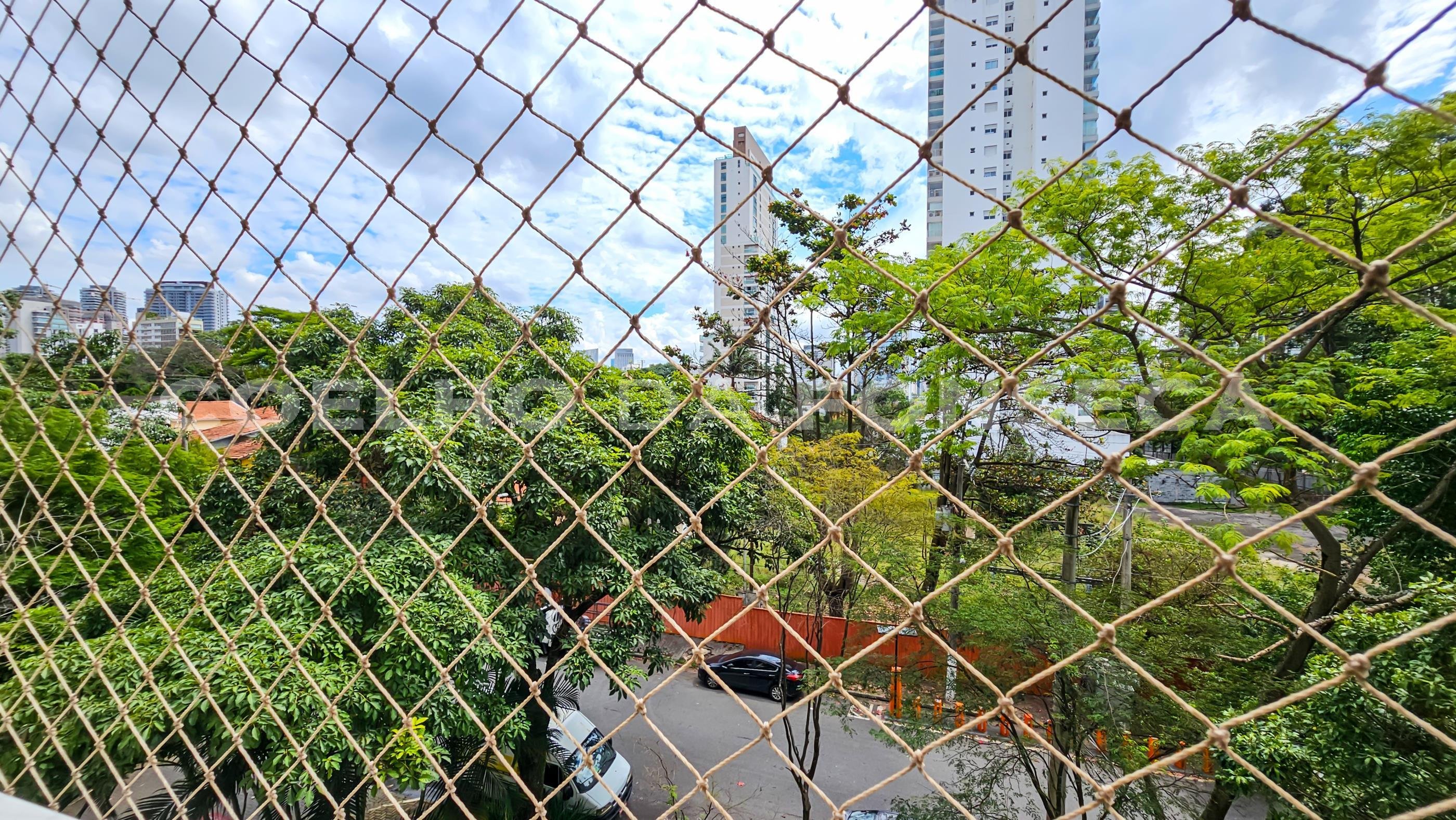 Vista