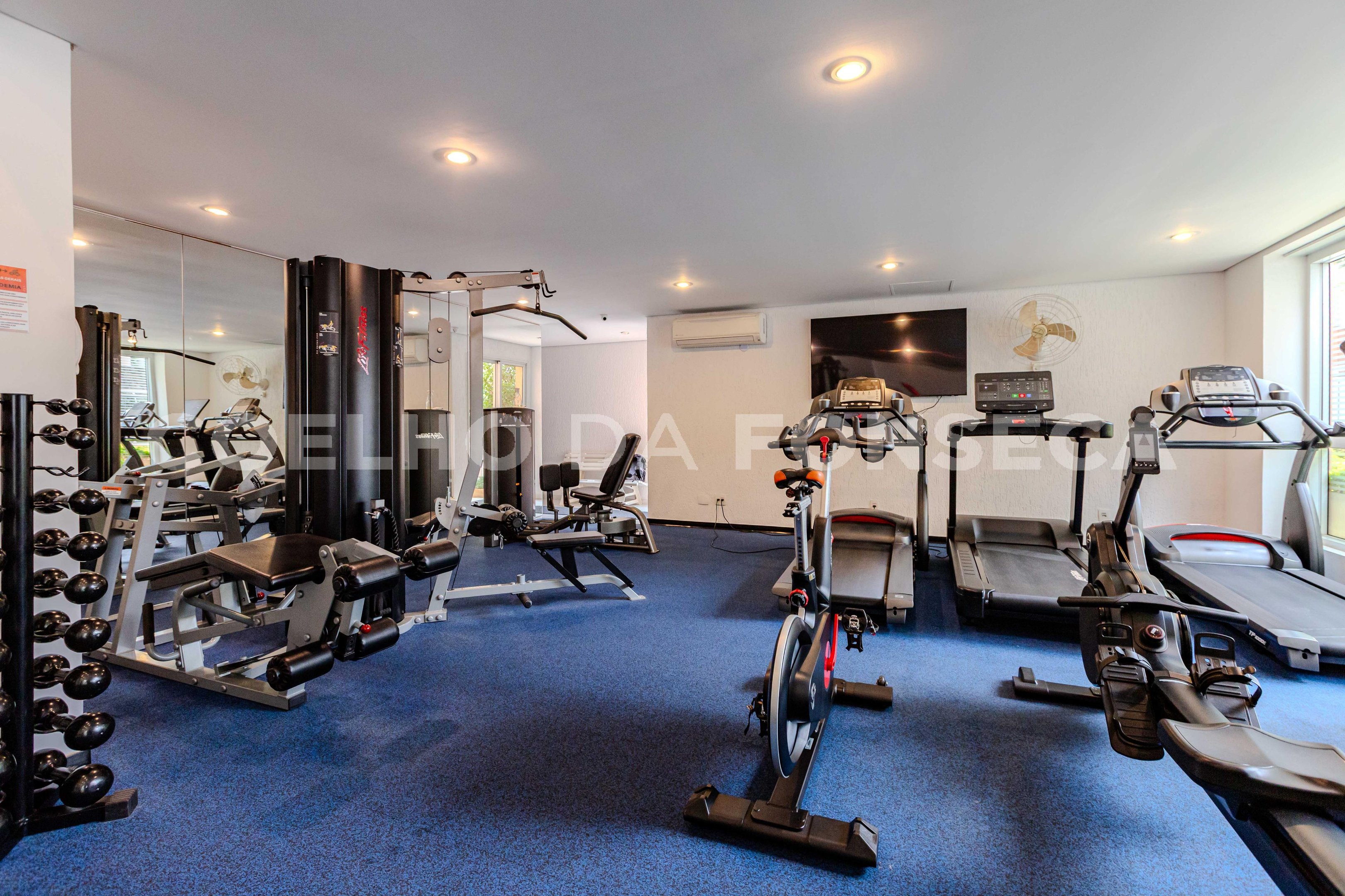 Fitness