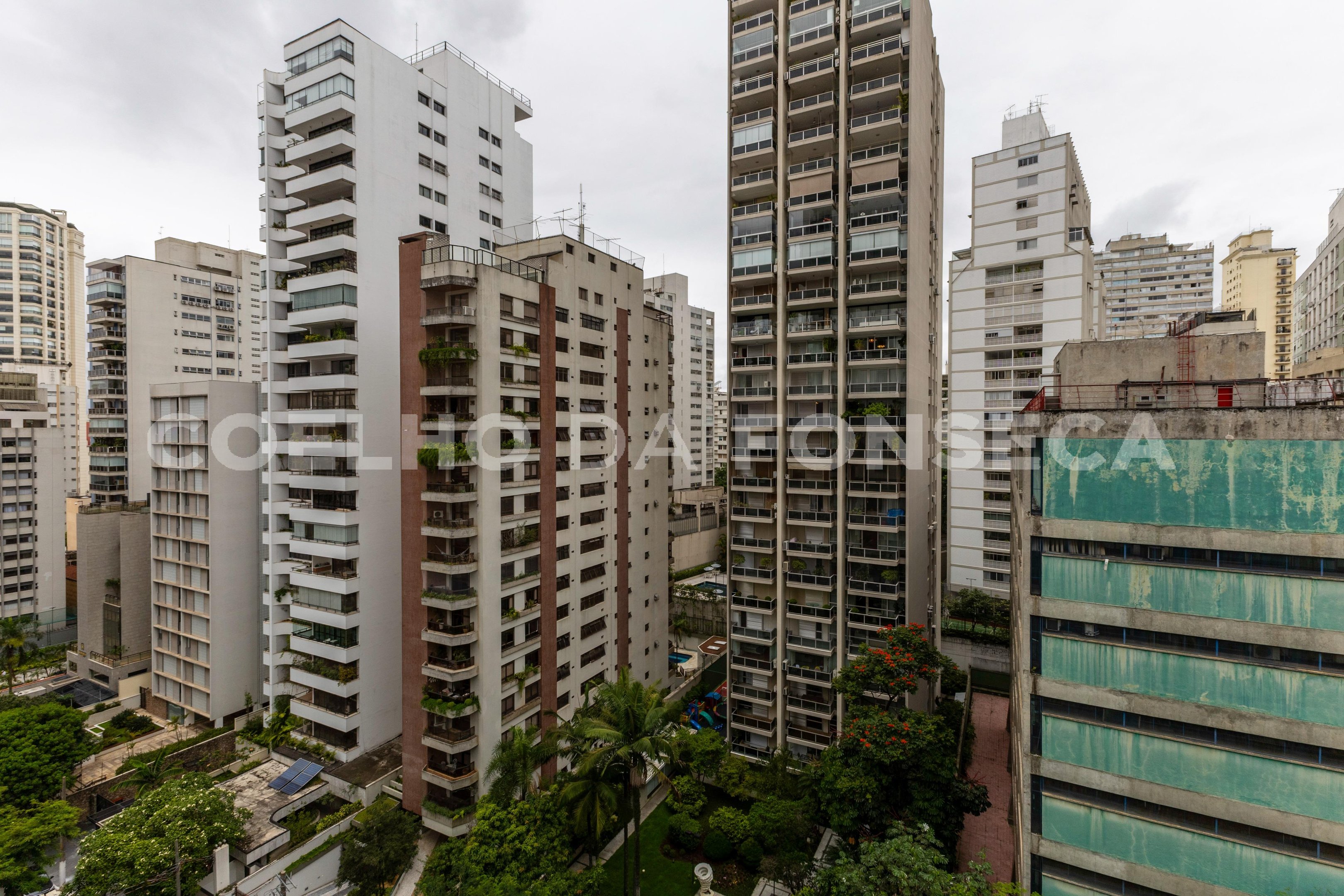 Vista