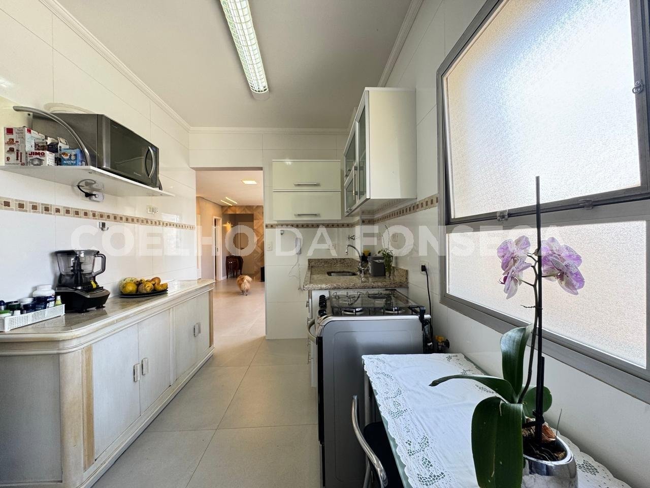 Cozinha
