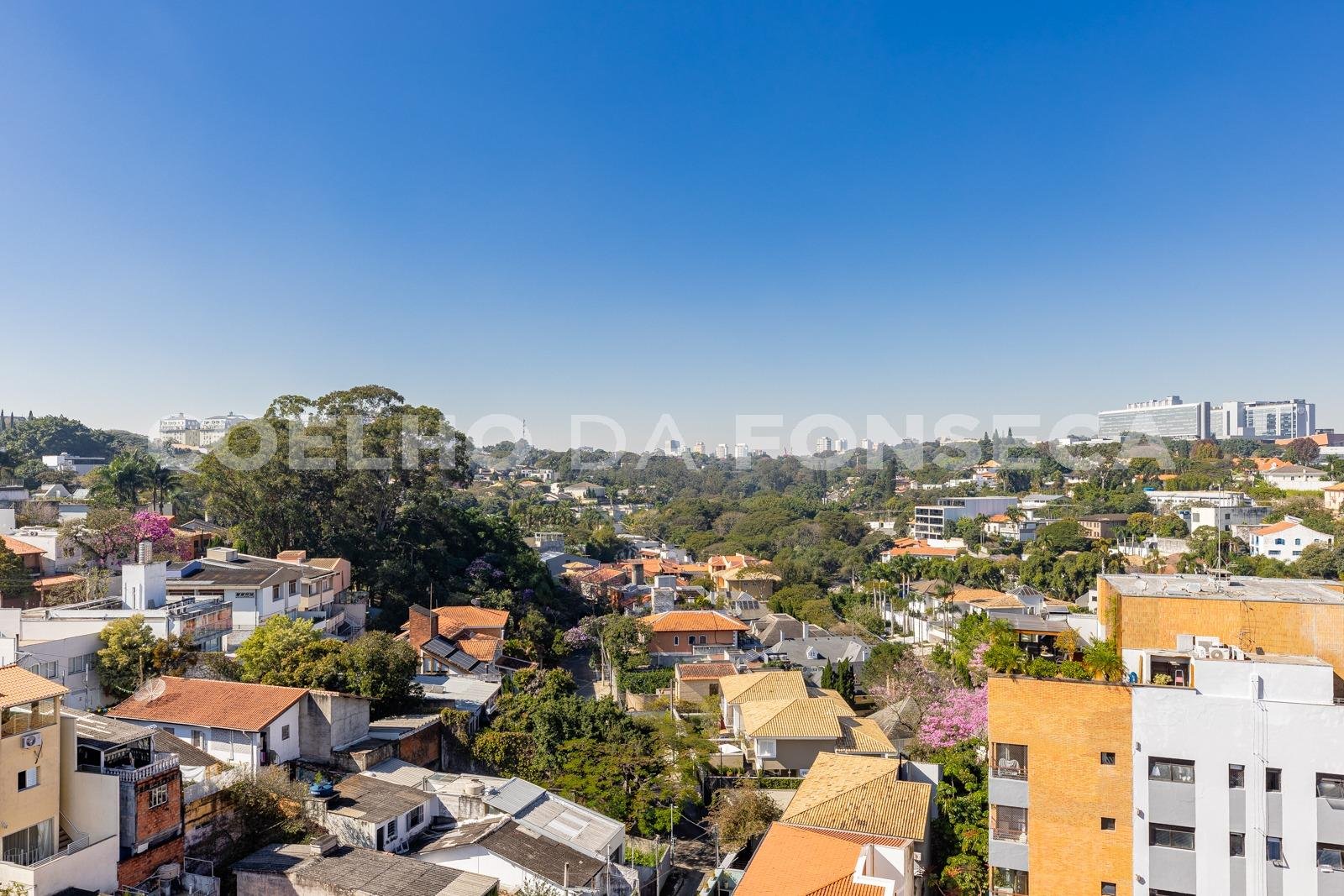 Vista