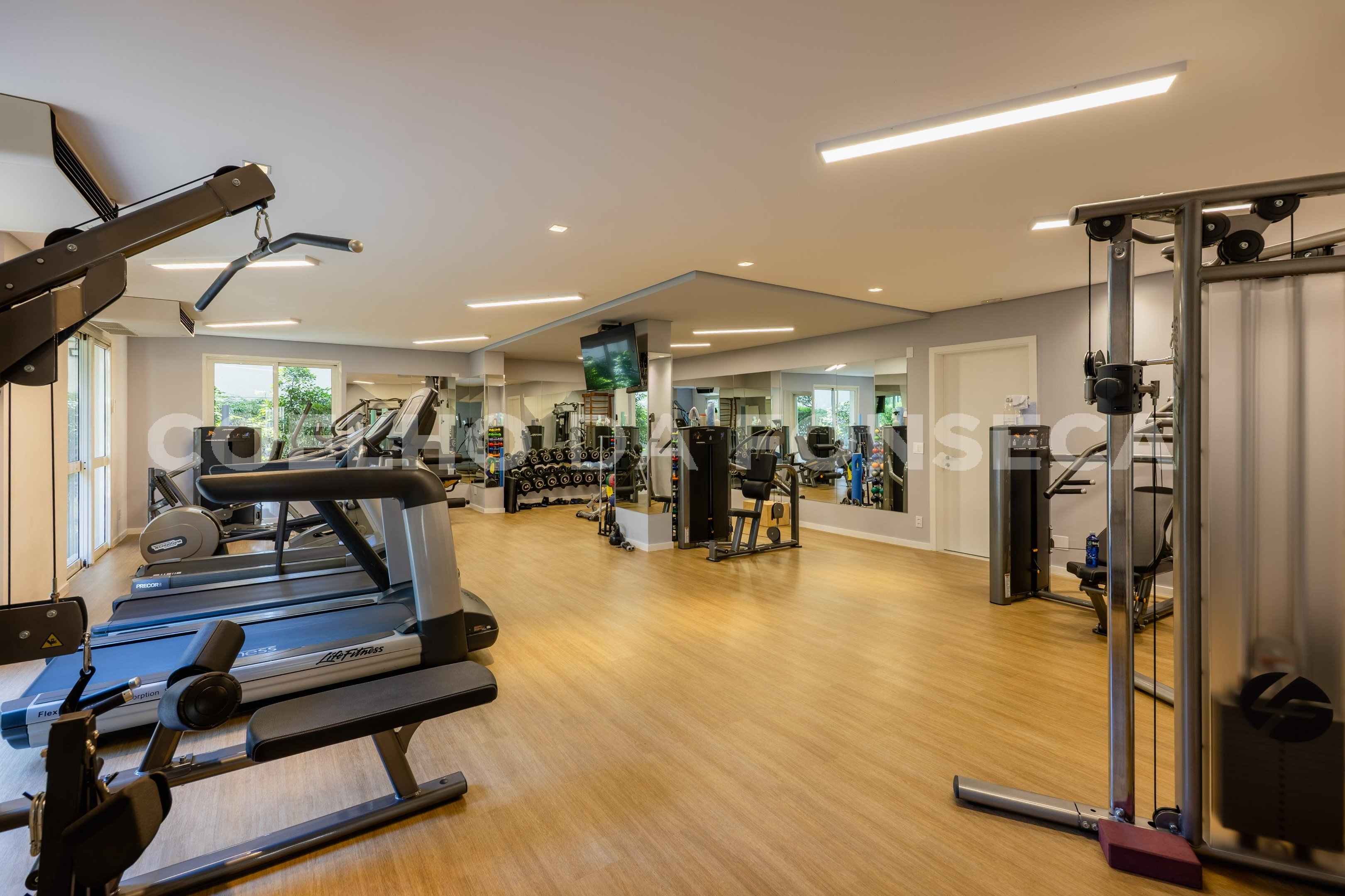 Fitness