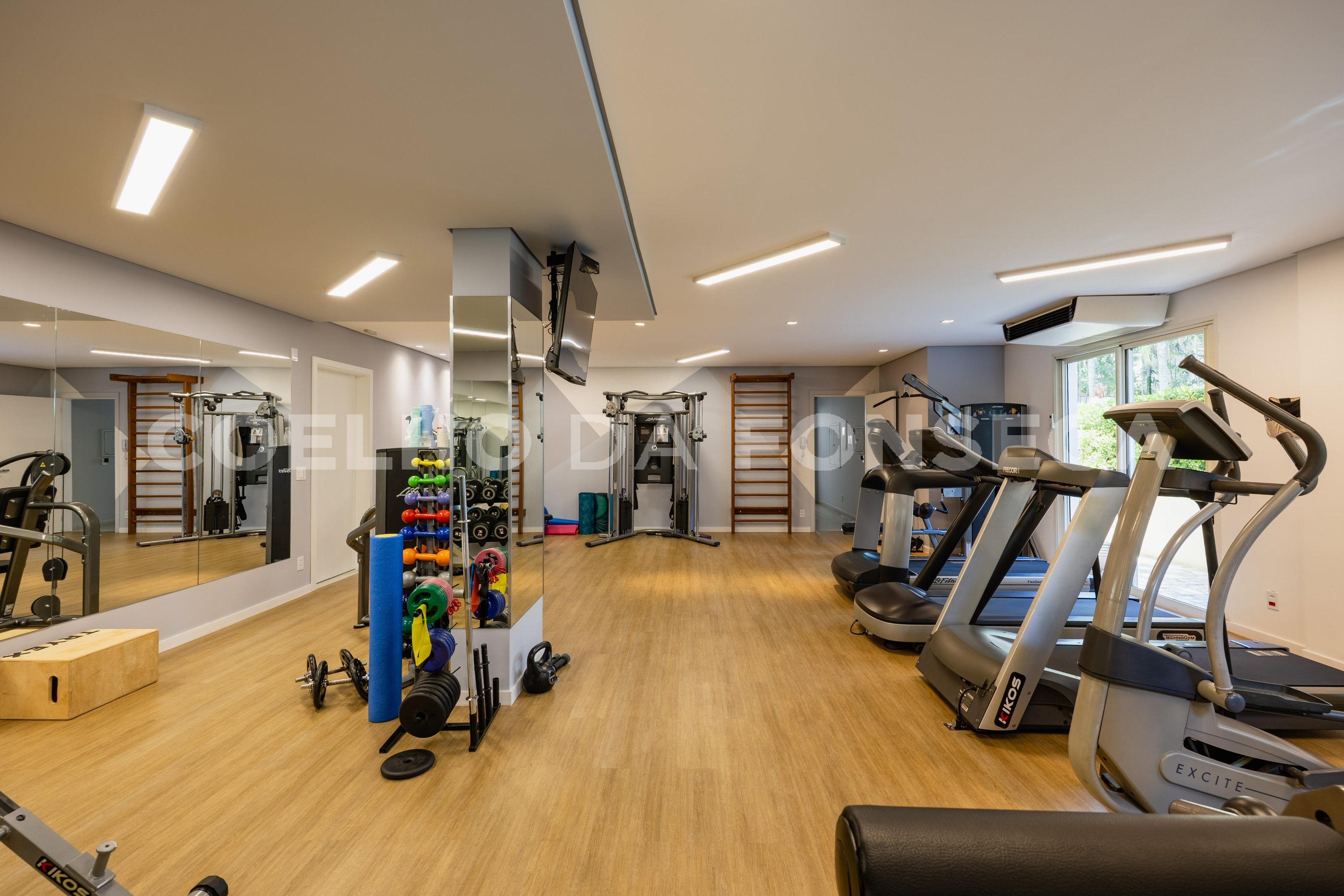 Fitness
