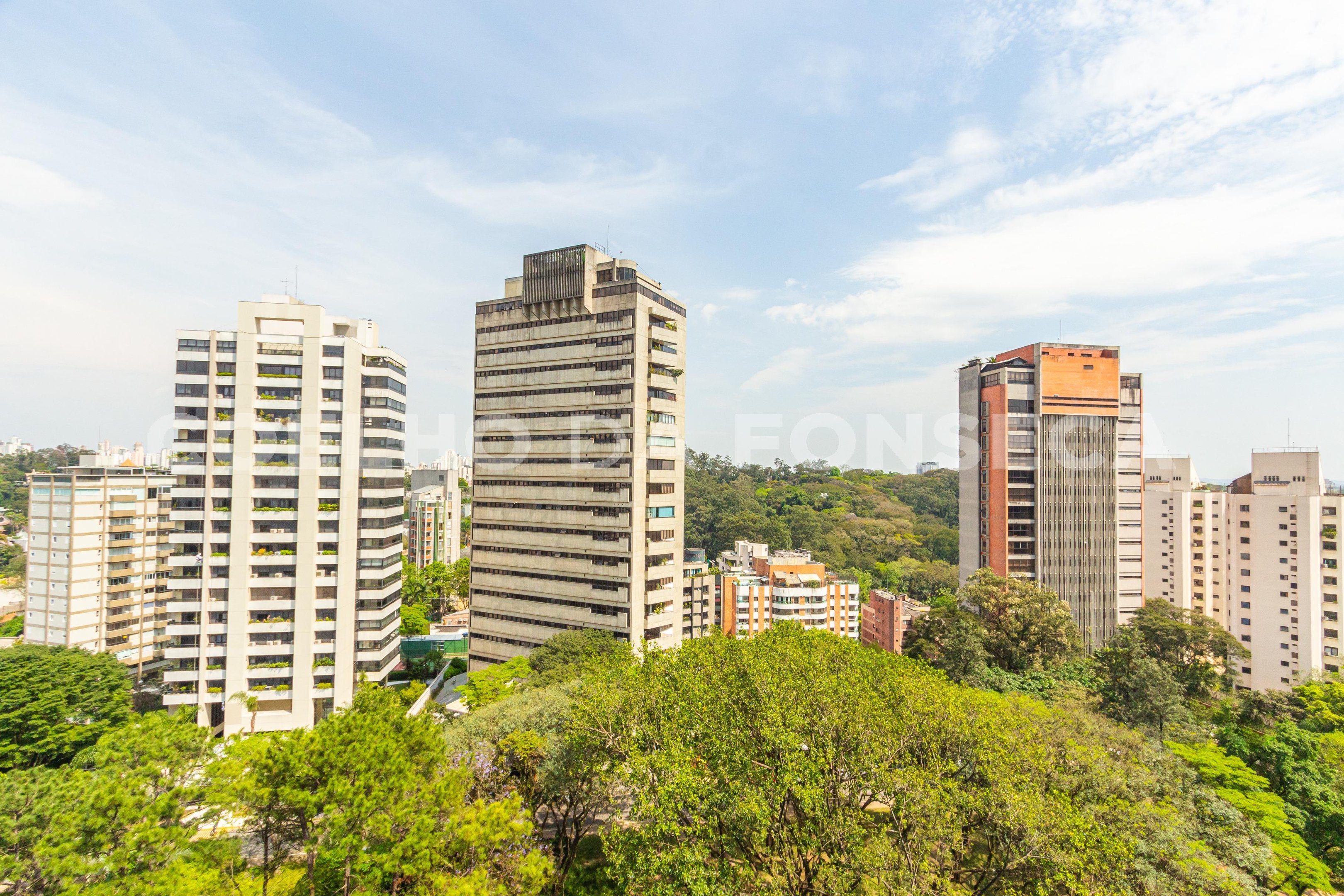 Vista