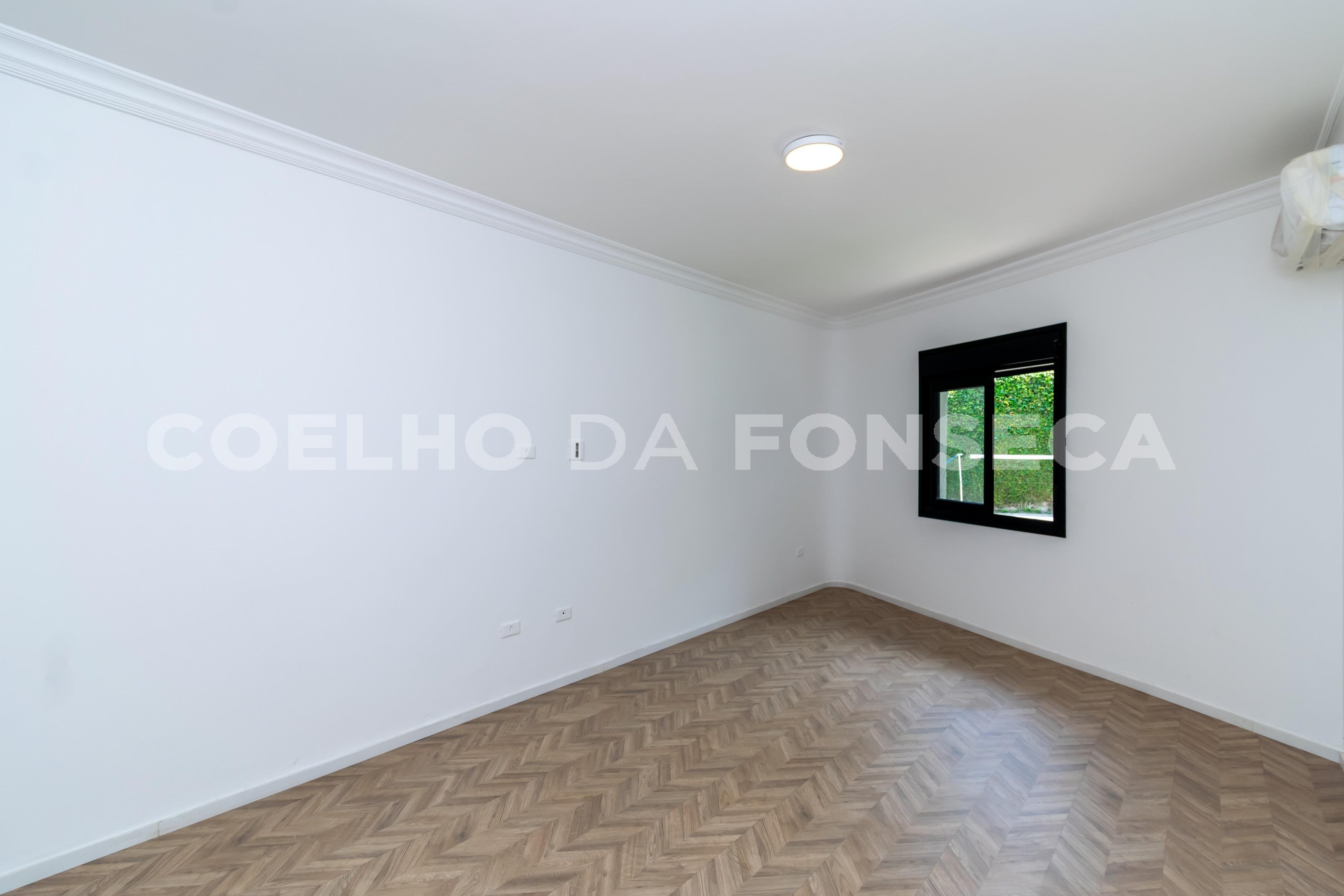 Suíte