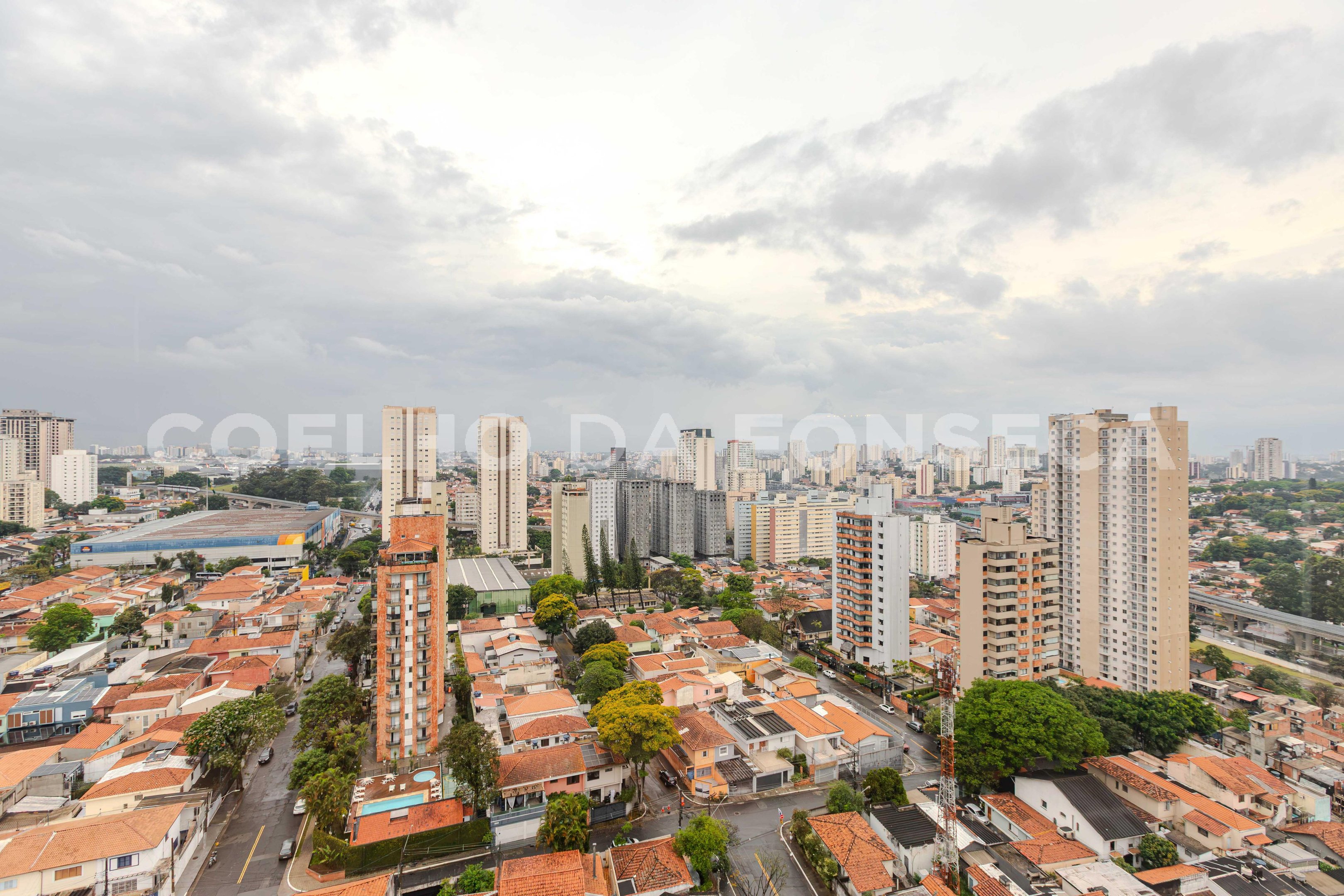 Vista