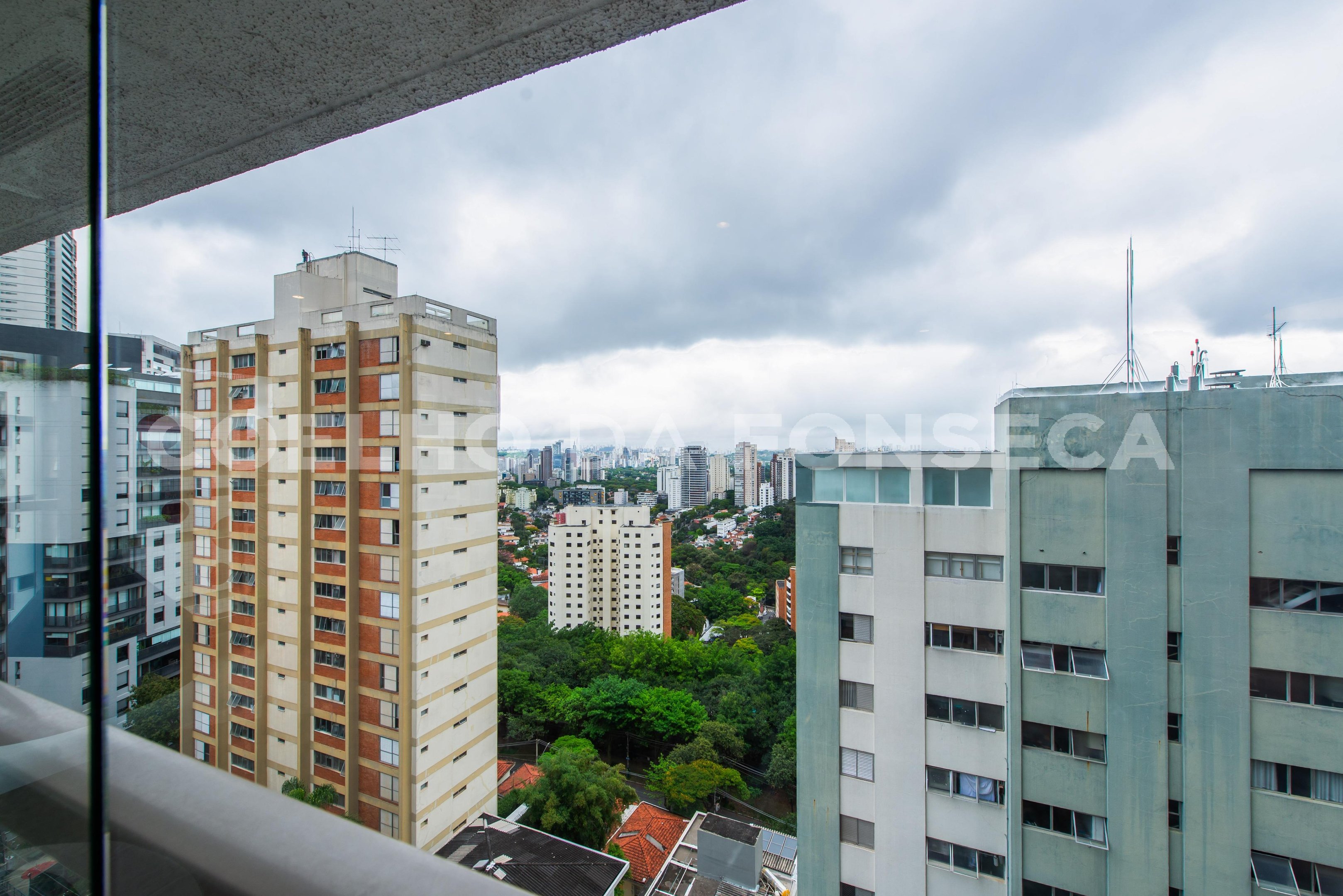 Vista