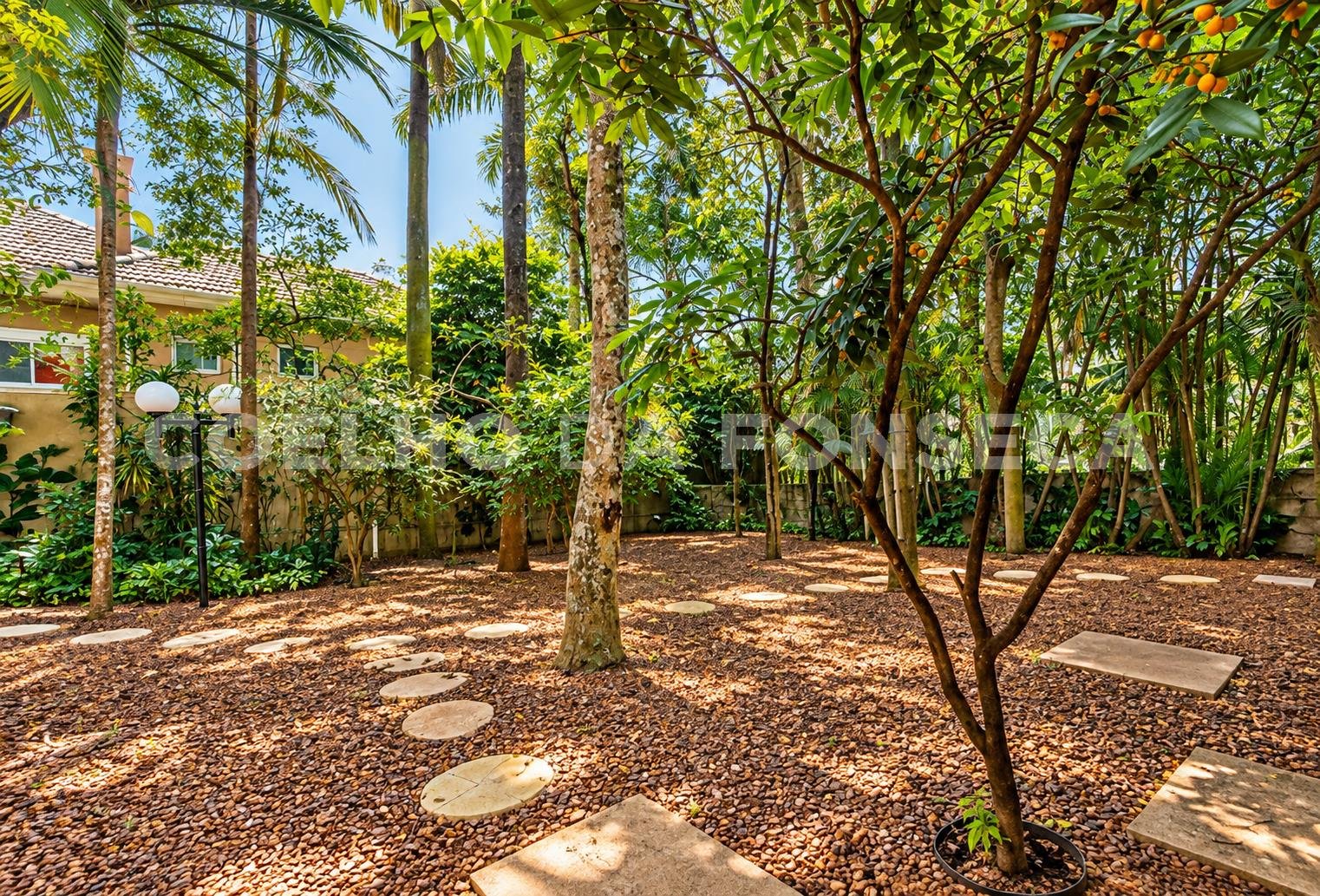 Jardim