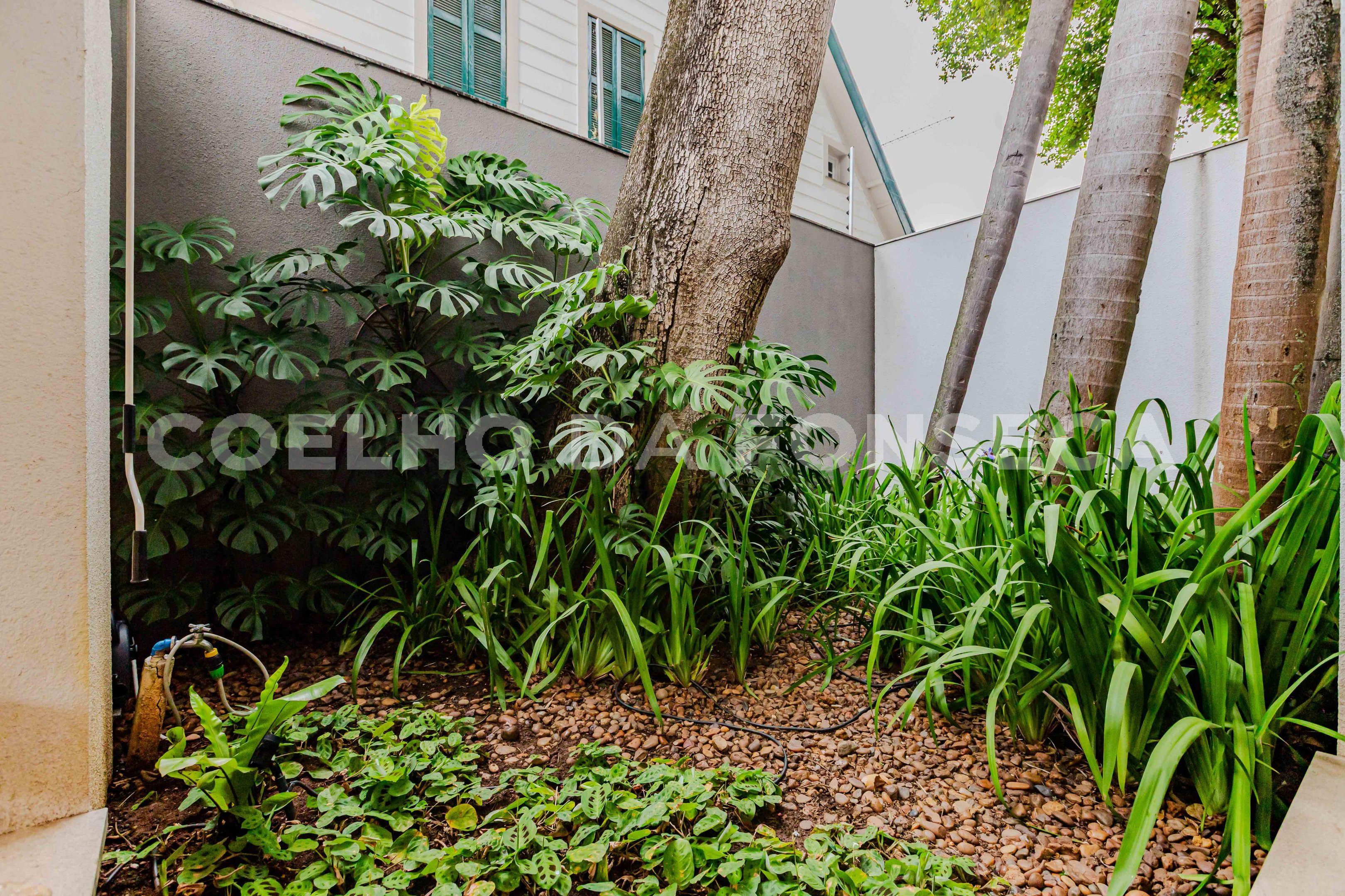 Jardim de Inverno