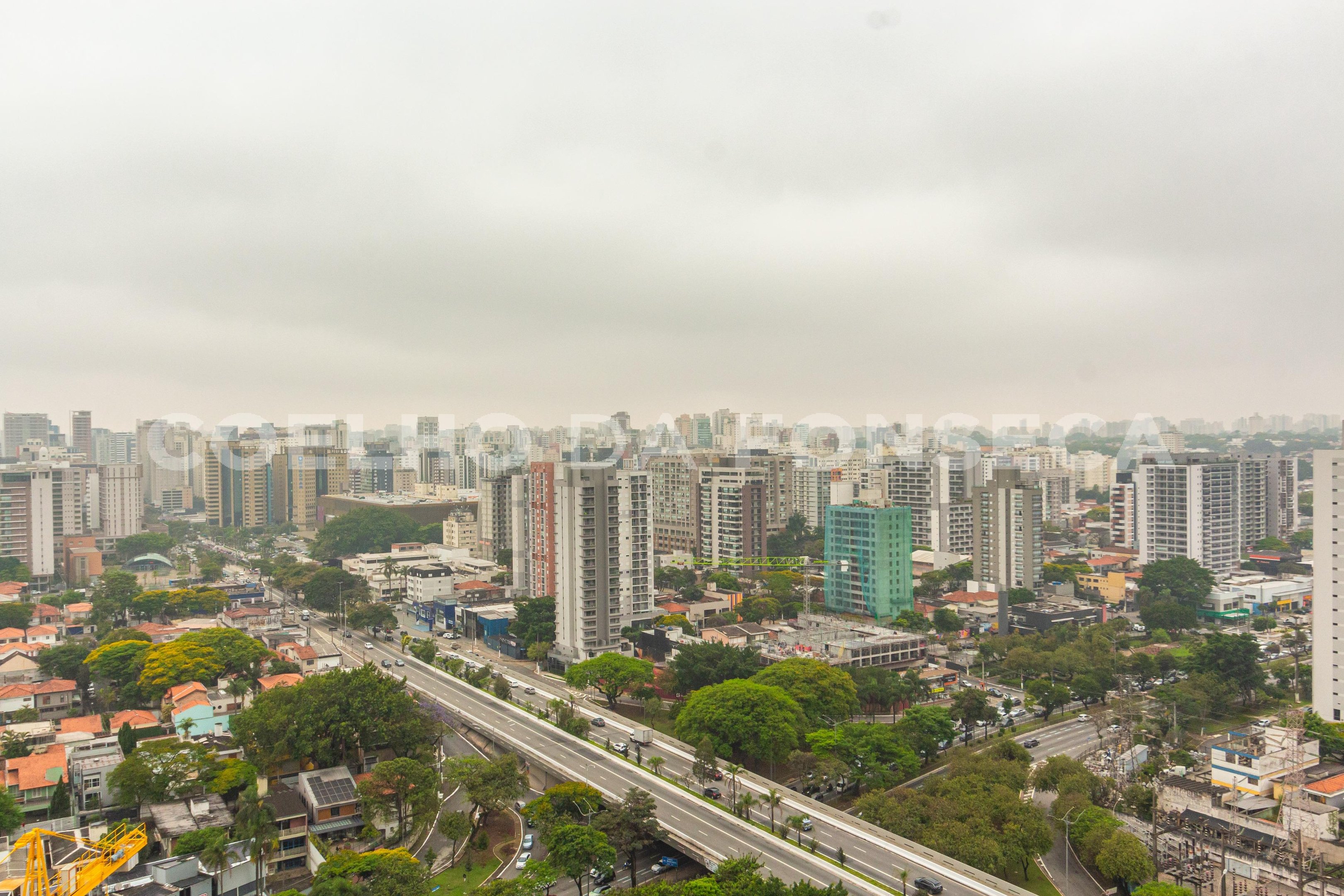 Vista