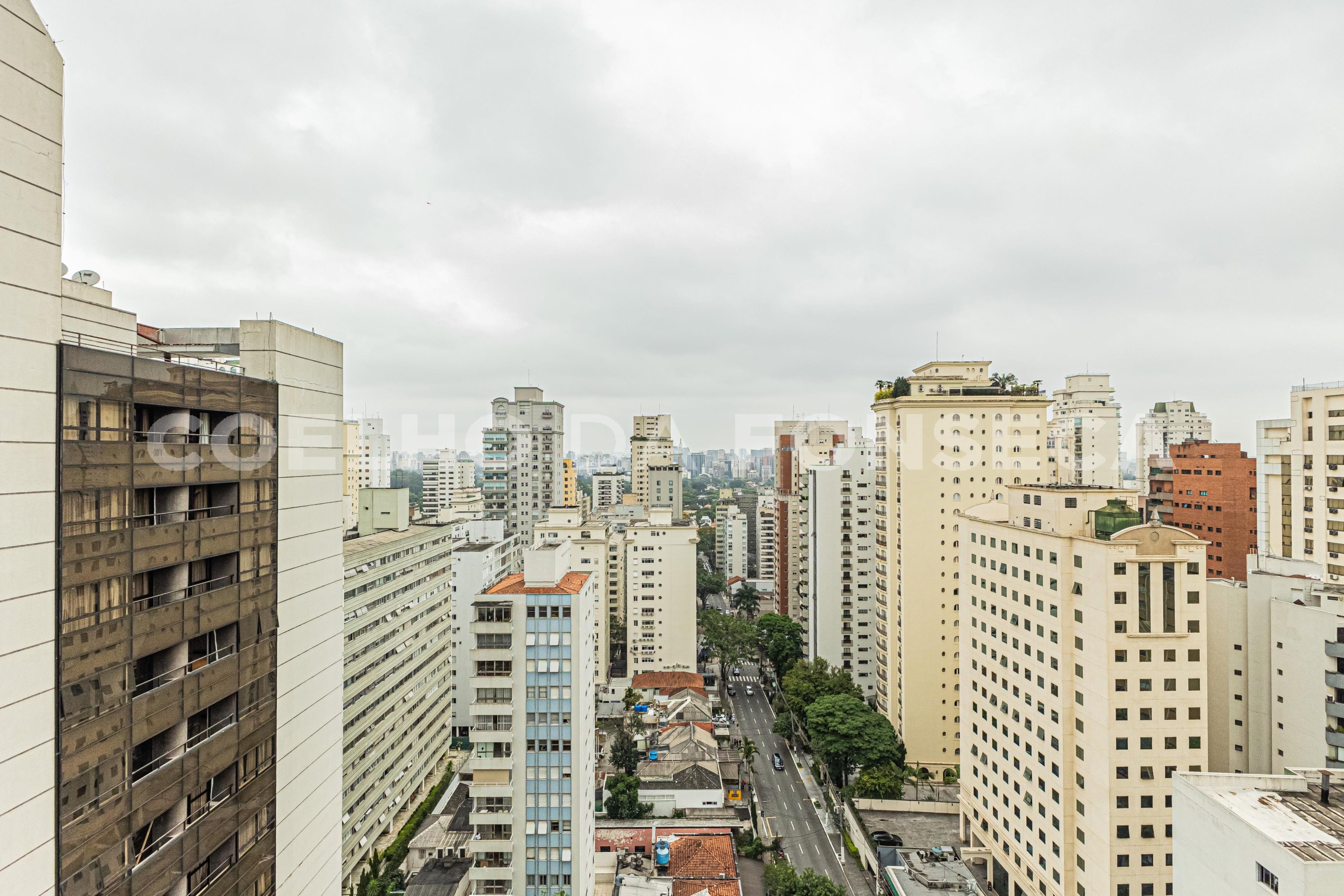 Vista