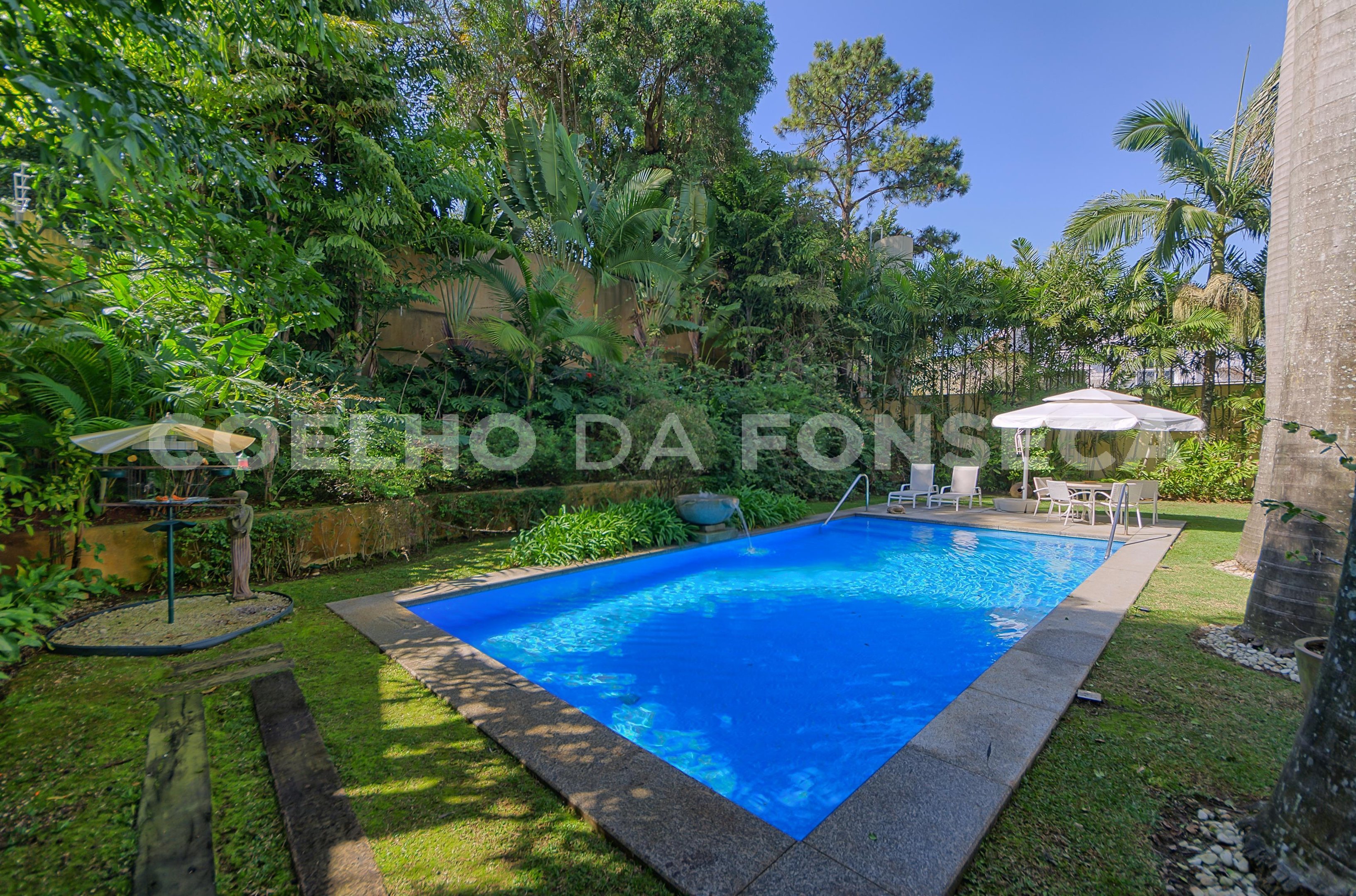 Jardim