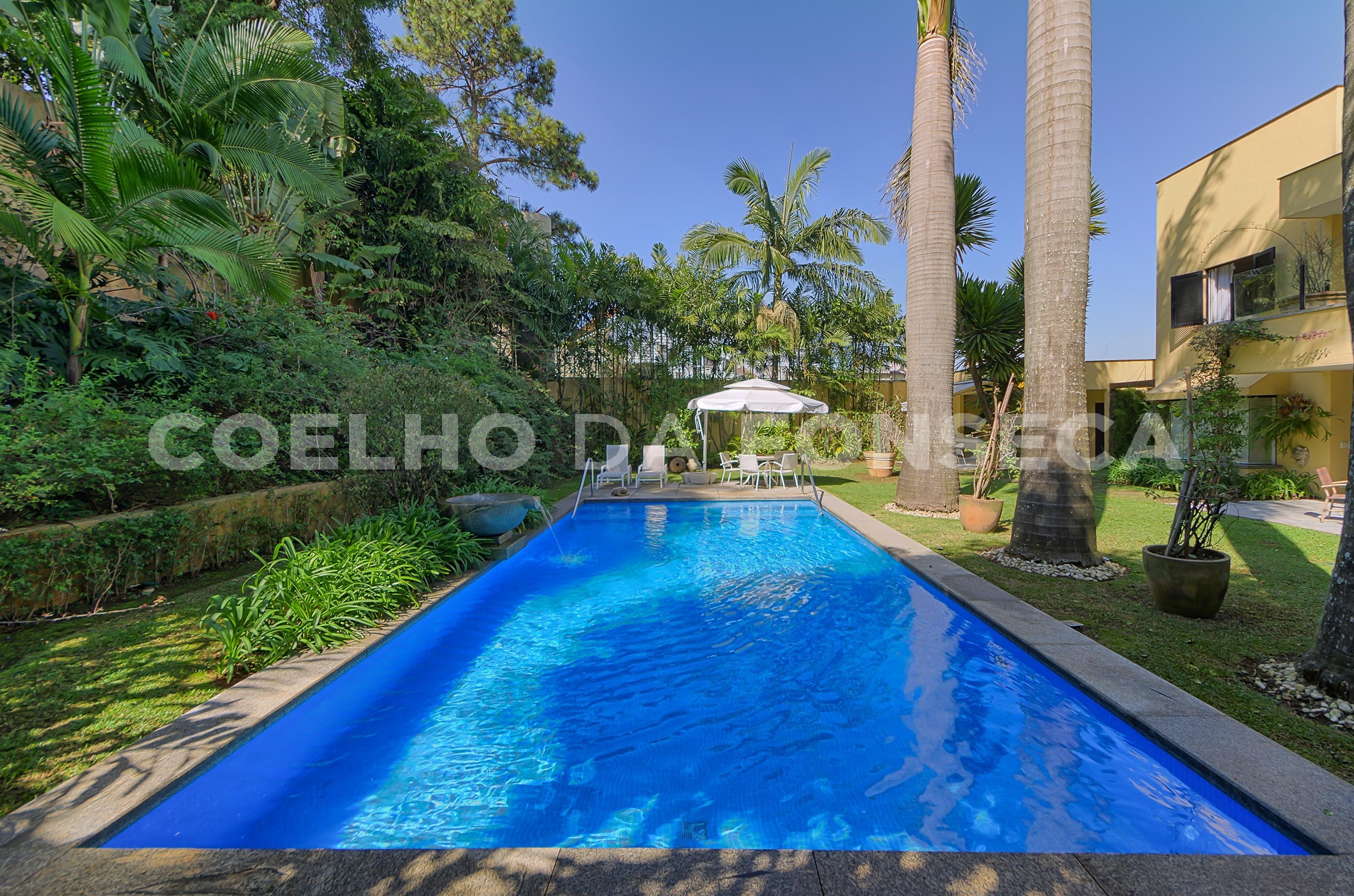 Jardim