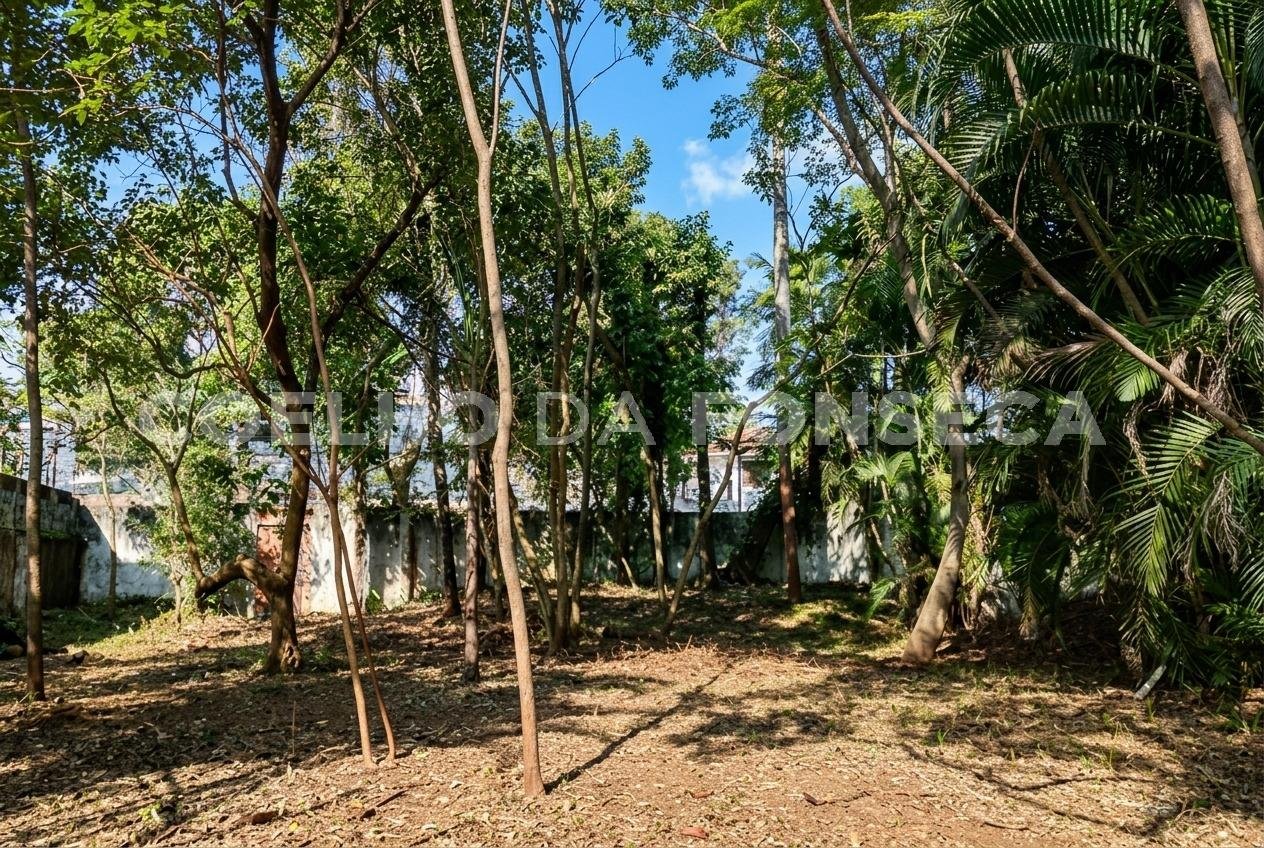 Terreno