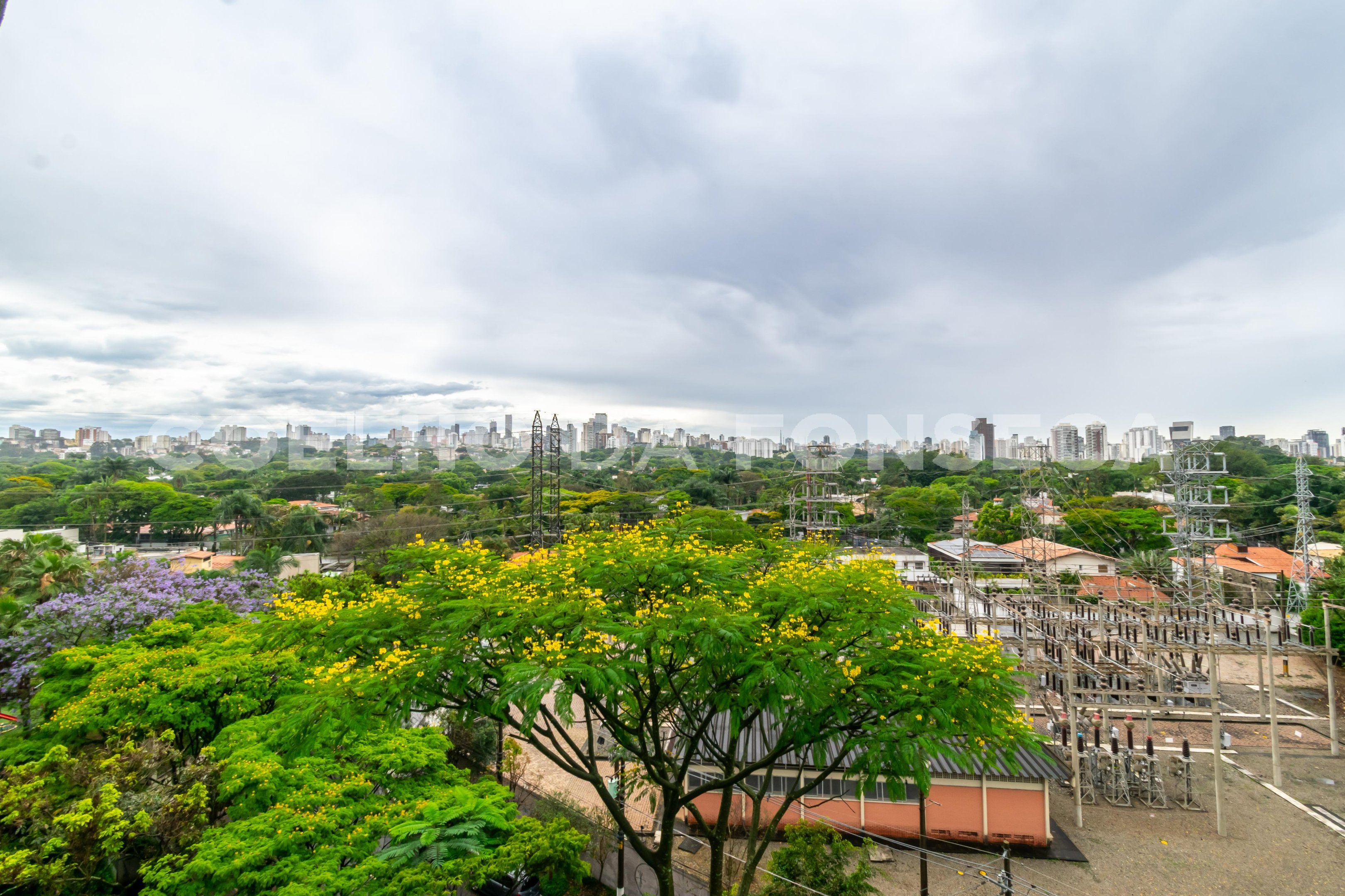 Vista