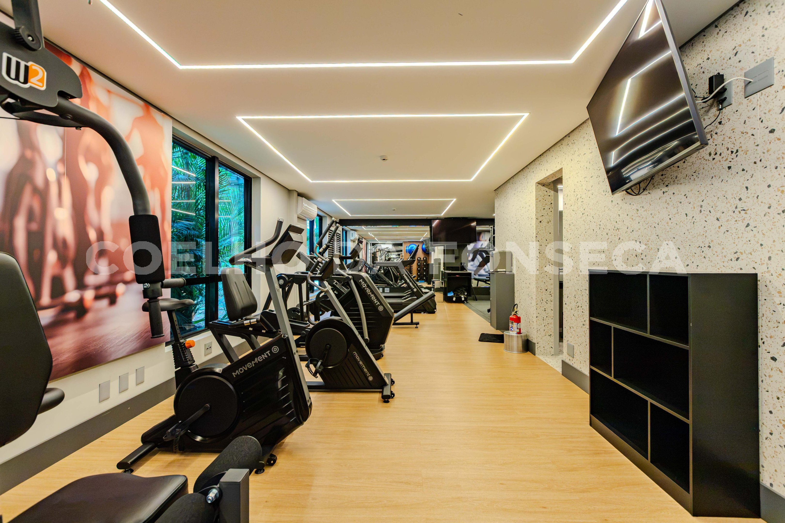 Fitness