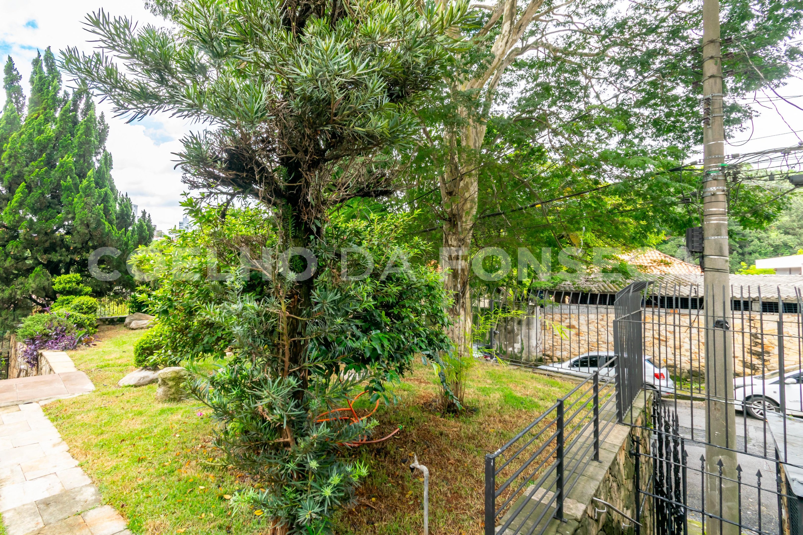 Jardim