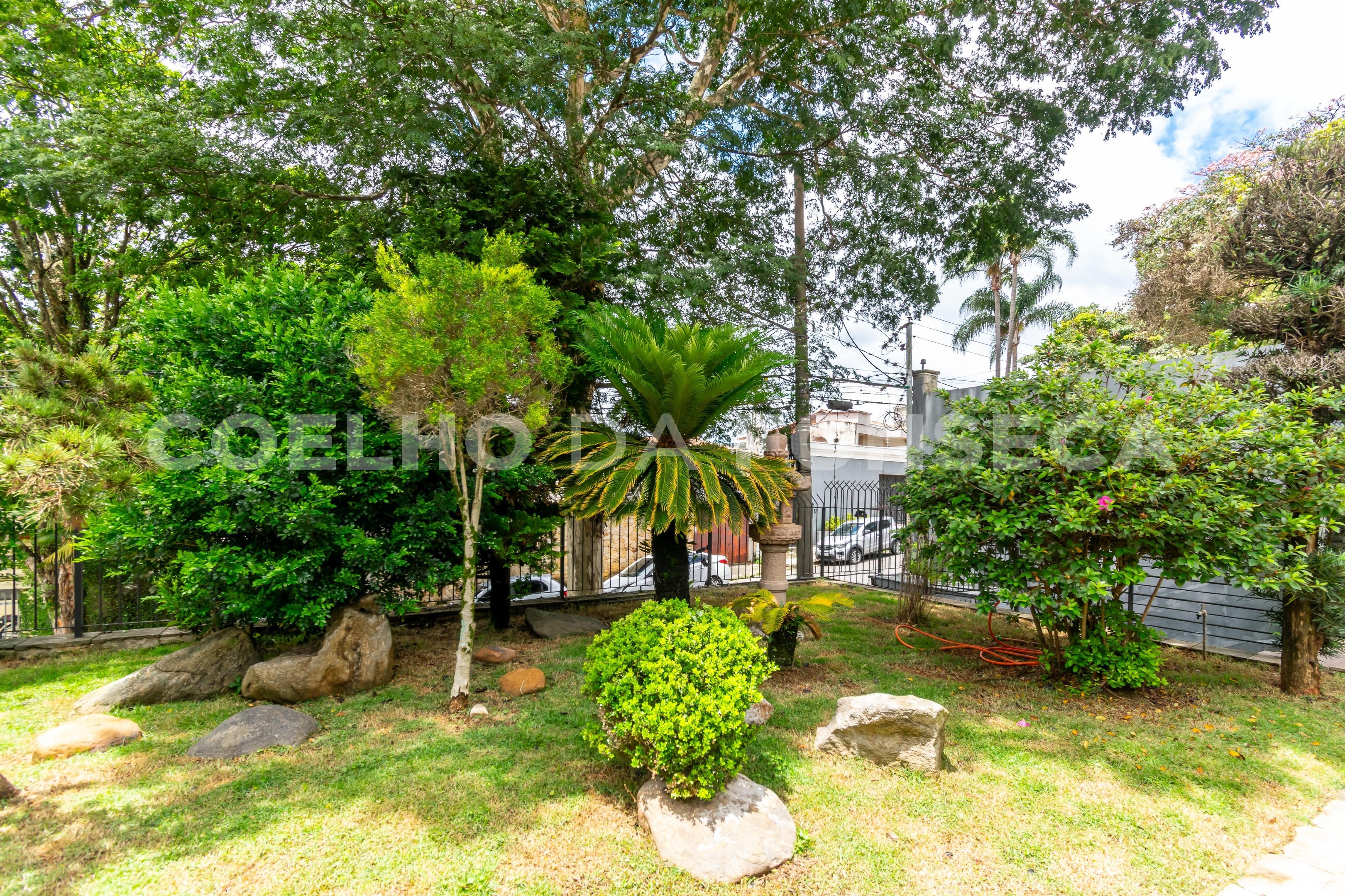 Jardim
