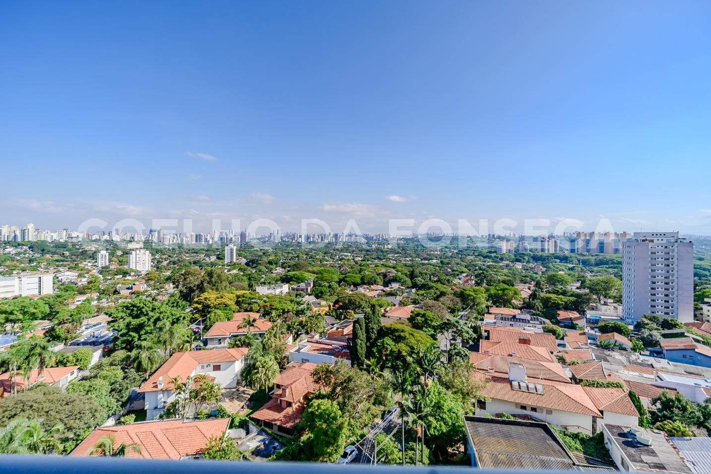 Vista